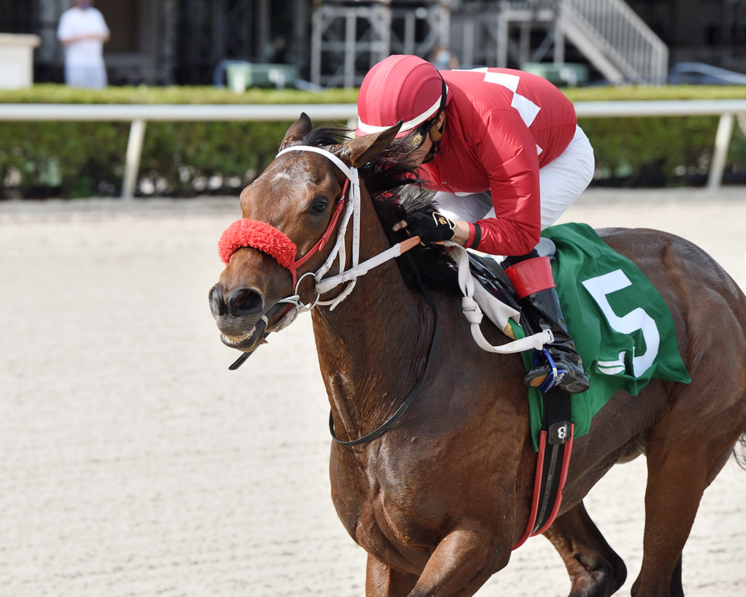 Letruska wins the 2020 Rampart Stakes at Gulfstream Park