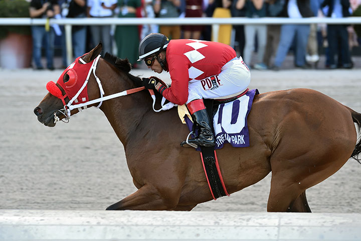 Letruska wins the 2019 Copa Invitacional del Caribe Stakes at Gulfstream Park