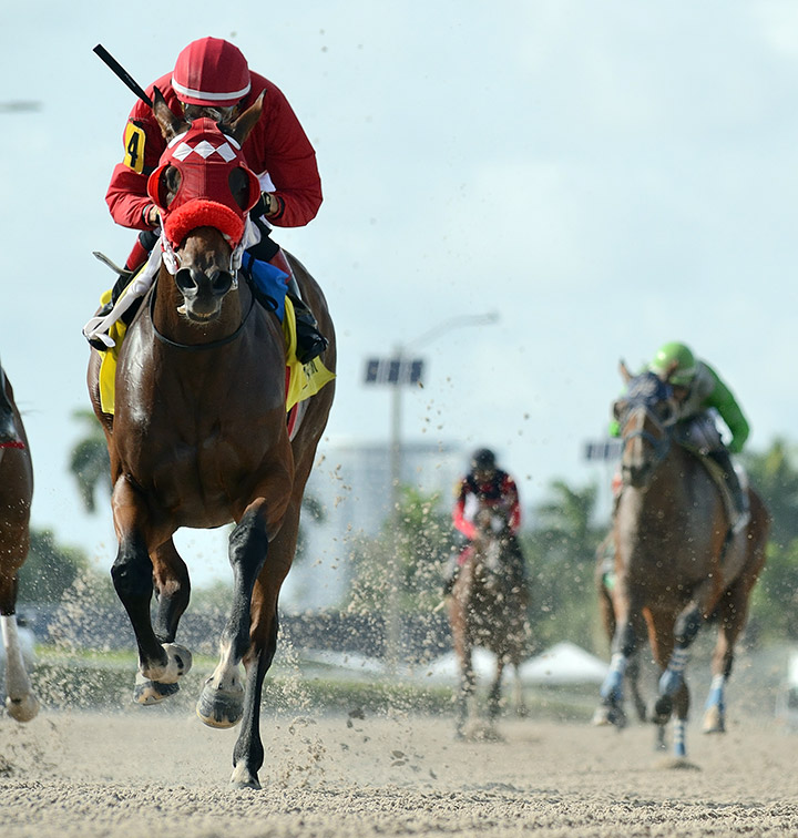 Letruska wins the 2020 Added Elegance Stakes at Gulfstream Park