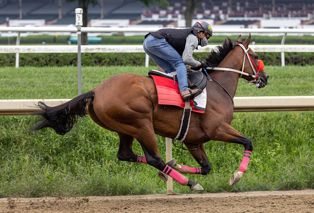 Letruska trains at Saratoga Race Course on Aug. 21