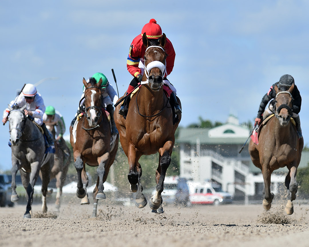 Letruska wins the 2022 Royal Delta Stakes at Gulfstream Park