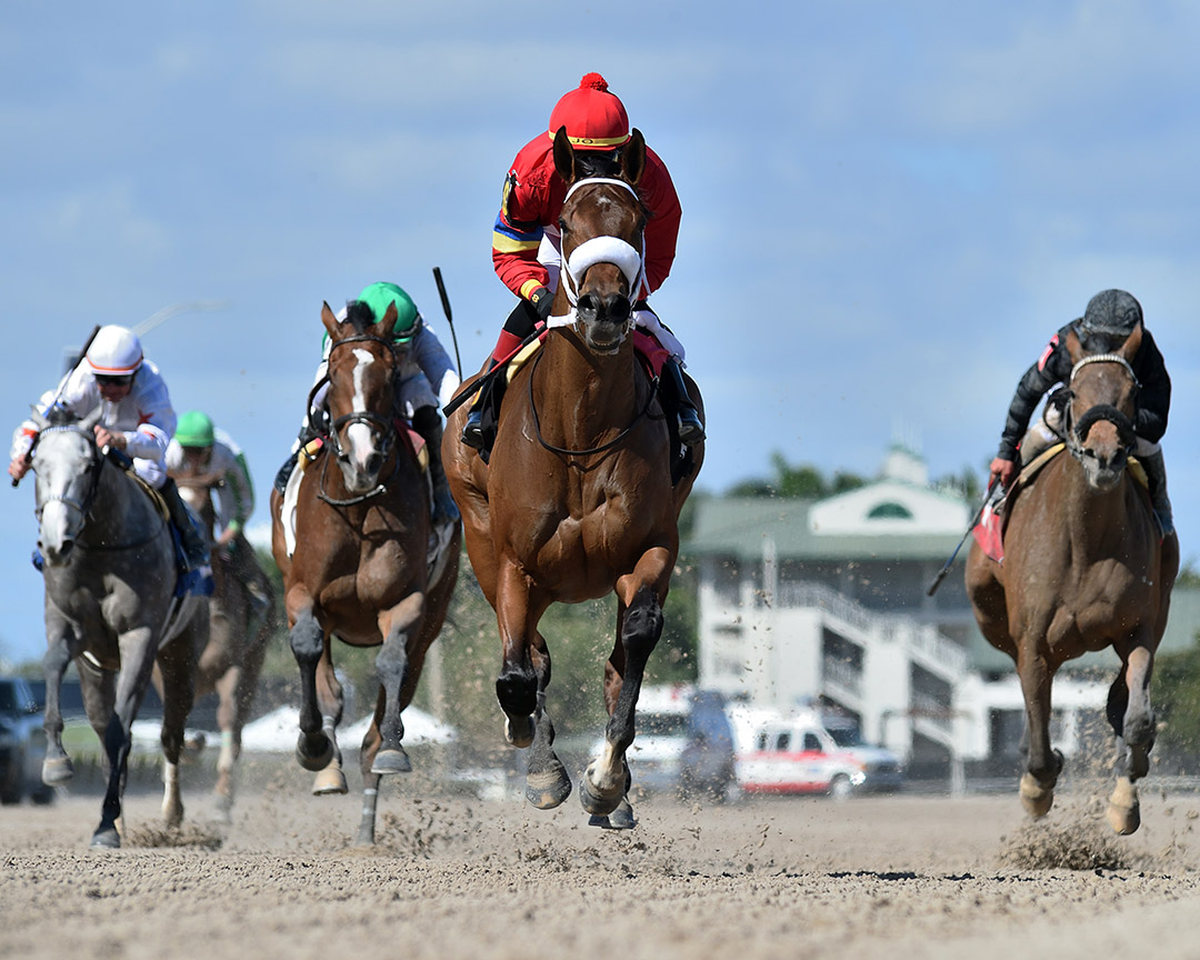 Letruska wins the 2022 Royal Delta Stakes at Gulfstream Park