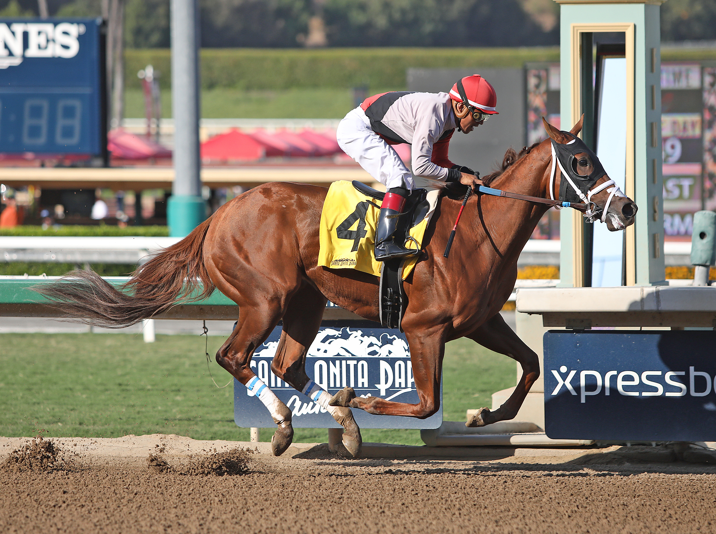 Leucothea wins the 2019 Anoakia Stakes