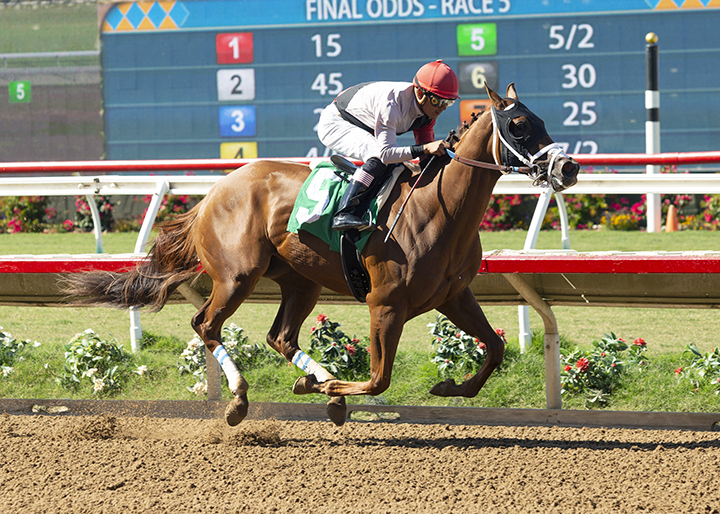 Leucothea wins an Aug. 15 maiden race at Del Mar