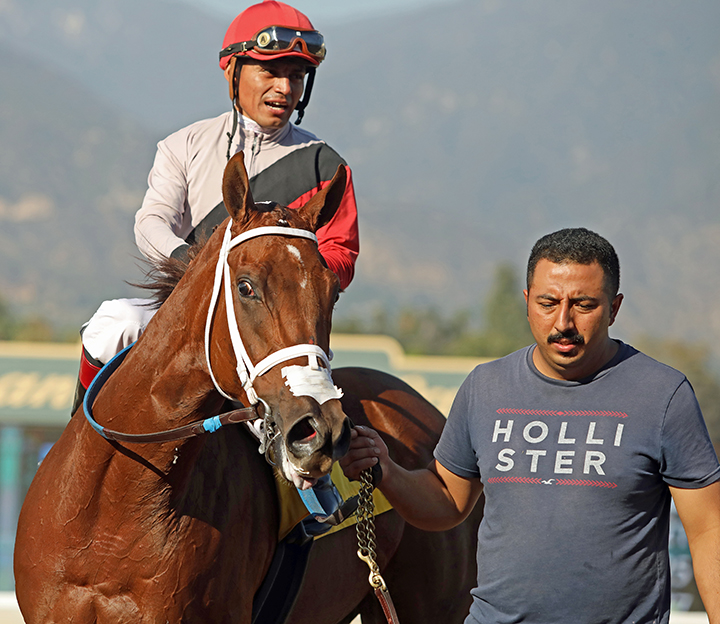 Leucothea at the Anoakia Stakes at Santa Anita Park
