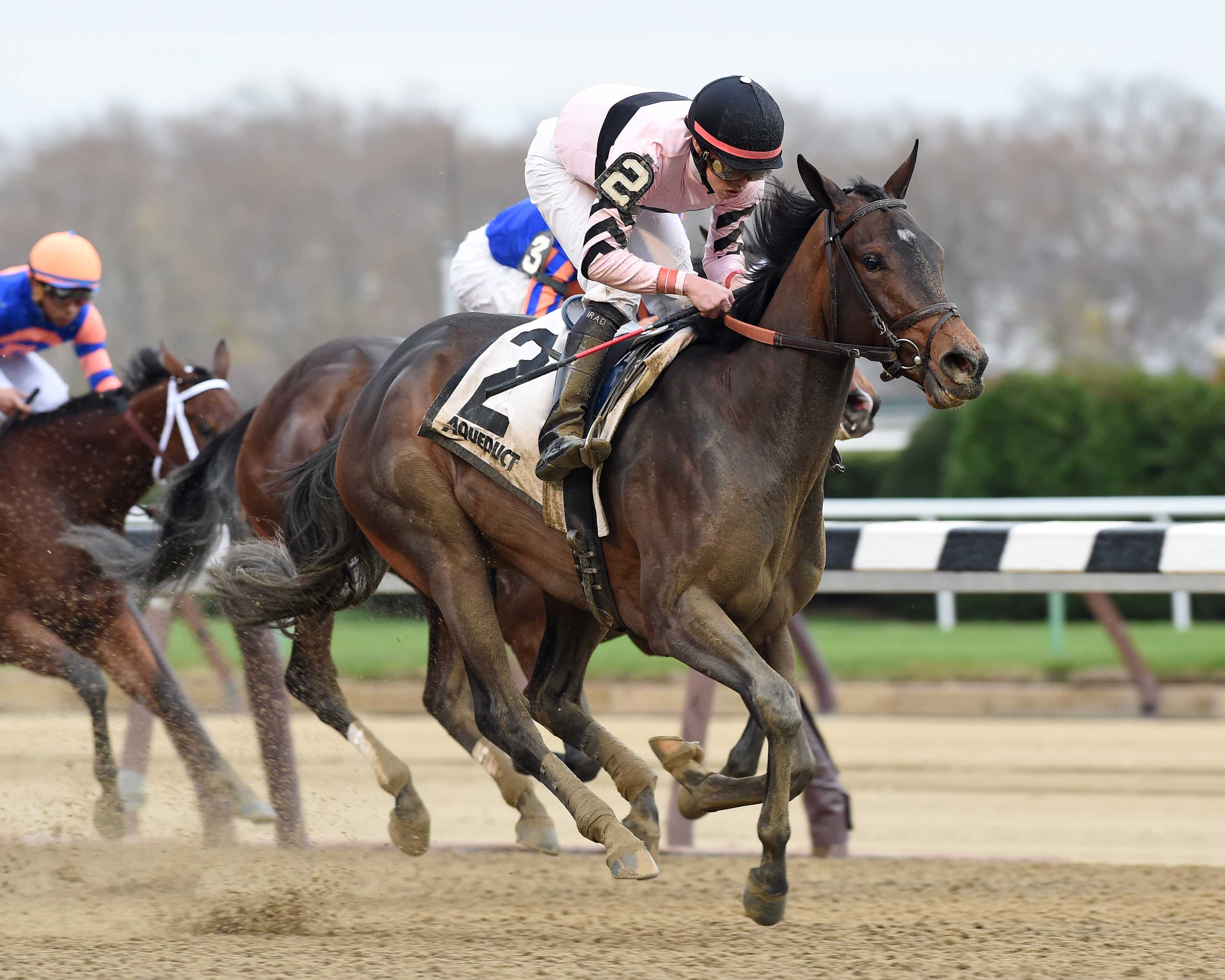 Lewis Bay wins the Demoiselle