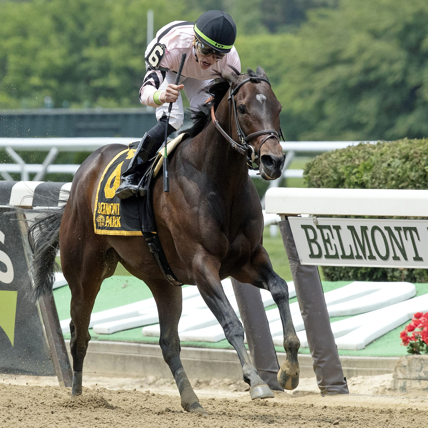 Lewis Bay wins the Bed o Roses Stakes