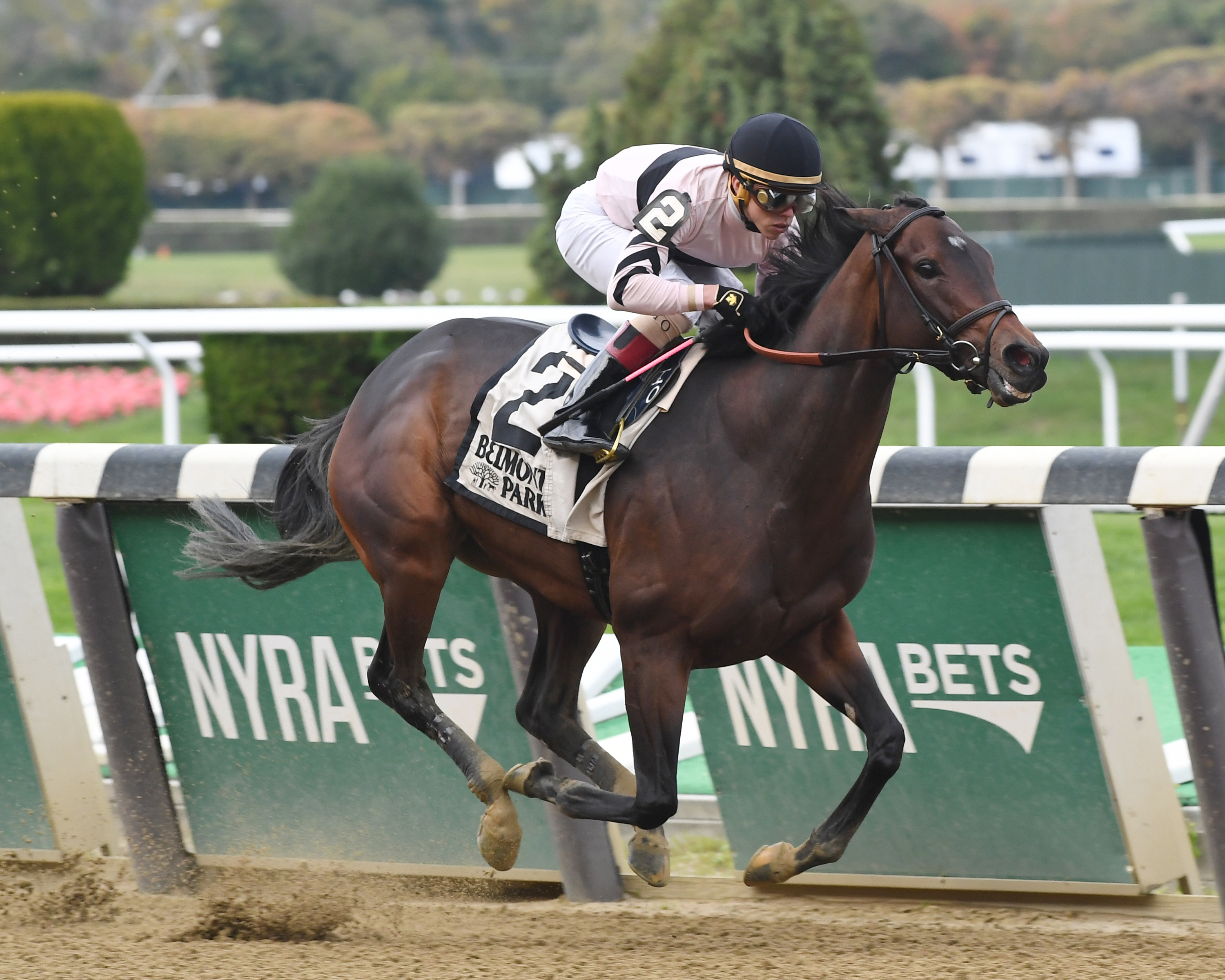 Lewis Bay wins the Turnback the Alarm