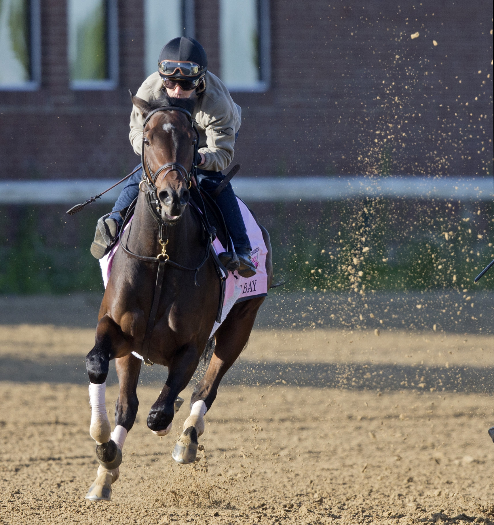 Lewis Bay trains at Churchill Downs on April 29