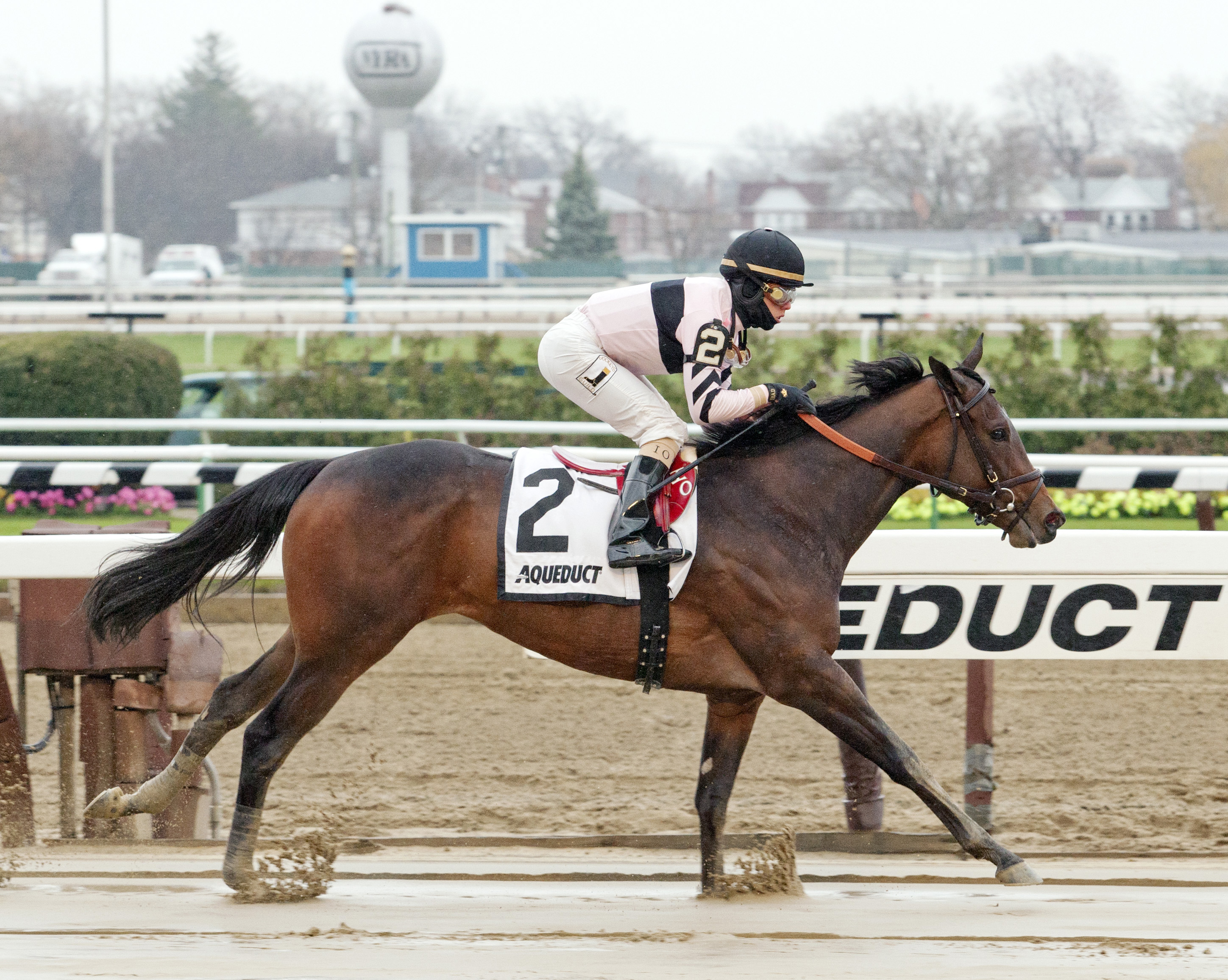 Lewis Bay wins the Gazelle Stakes