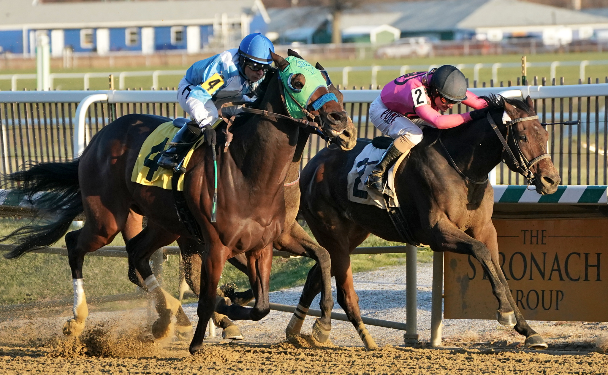 Lewisfield (left) wins the 2019 Howard and Sondra Bender Memorial