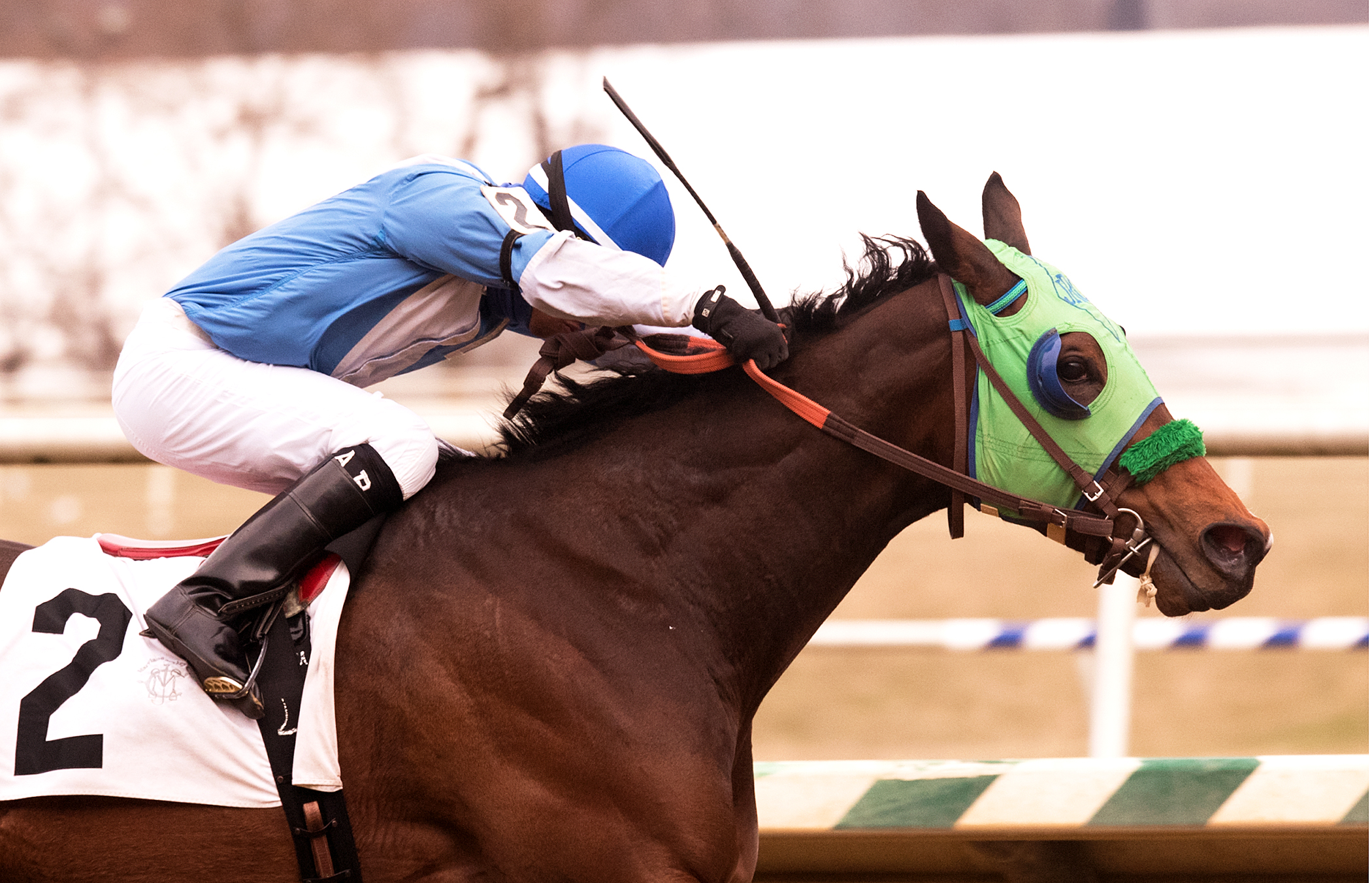 Lewisfield wins the 2018 Not For Love Stakes