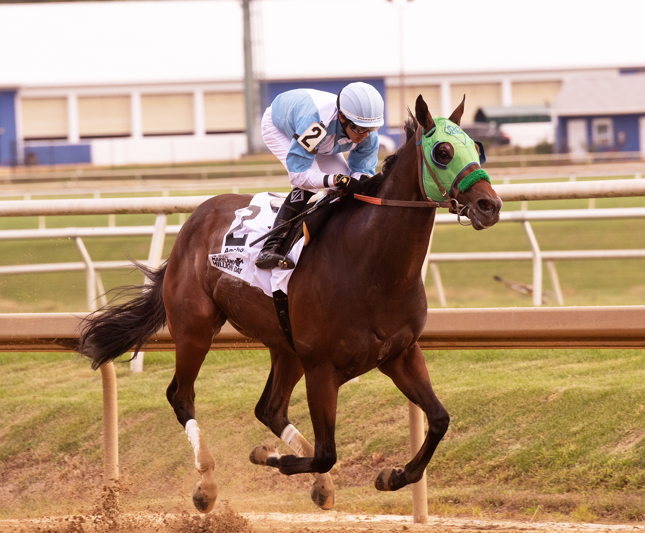 Lewisfield wins 2018 Sprint Handicap