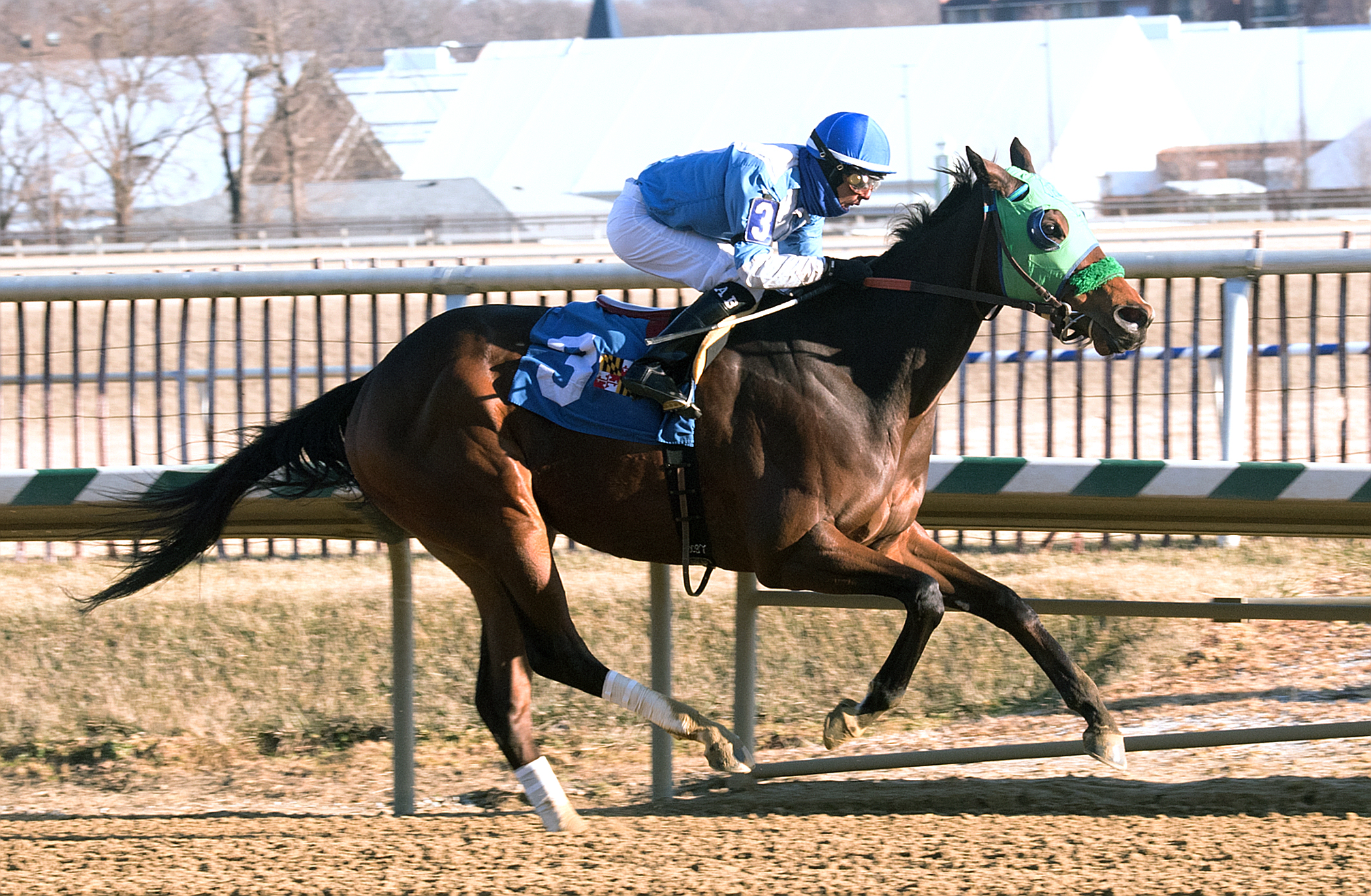 Lewisfield wins a Feb. 3 allowance race at Laurel