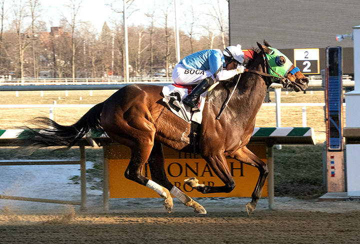 Lewisfield wins the 2019 Not For Love Stakes
