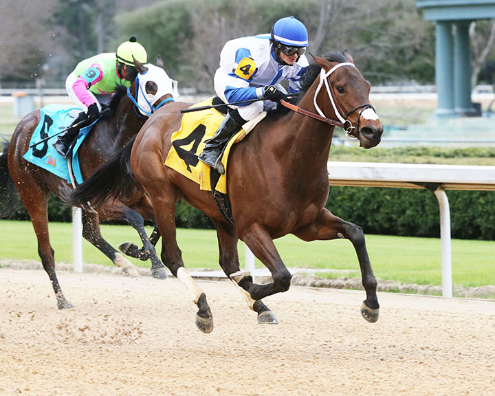 Lexi On the Move wins a Feb. 15 maiden race at Oaklawn