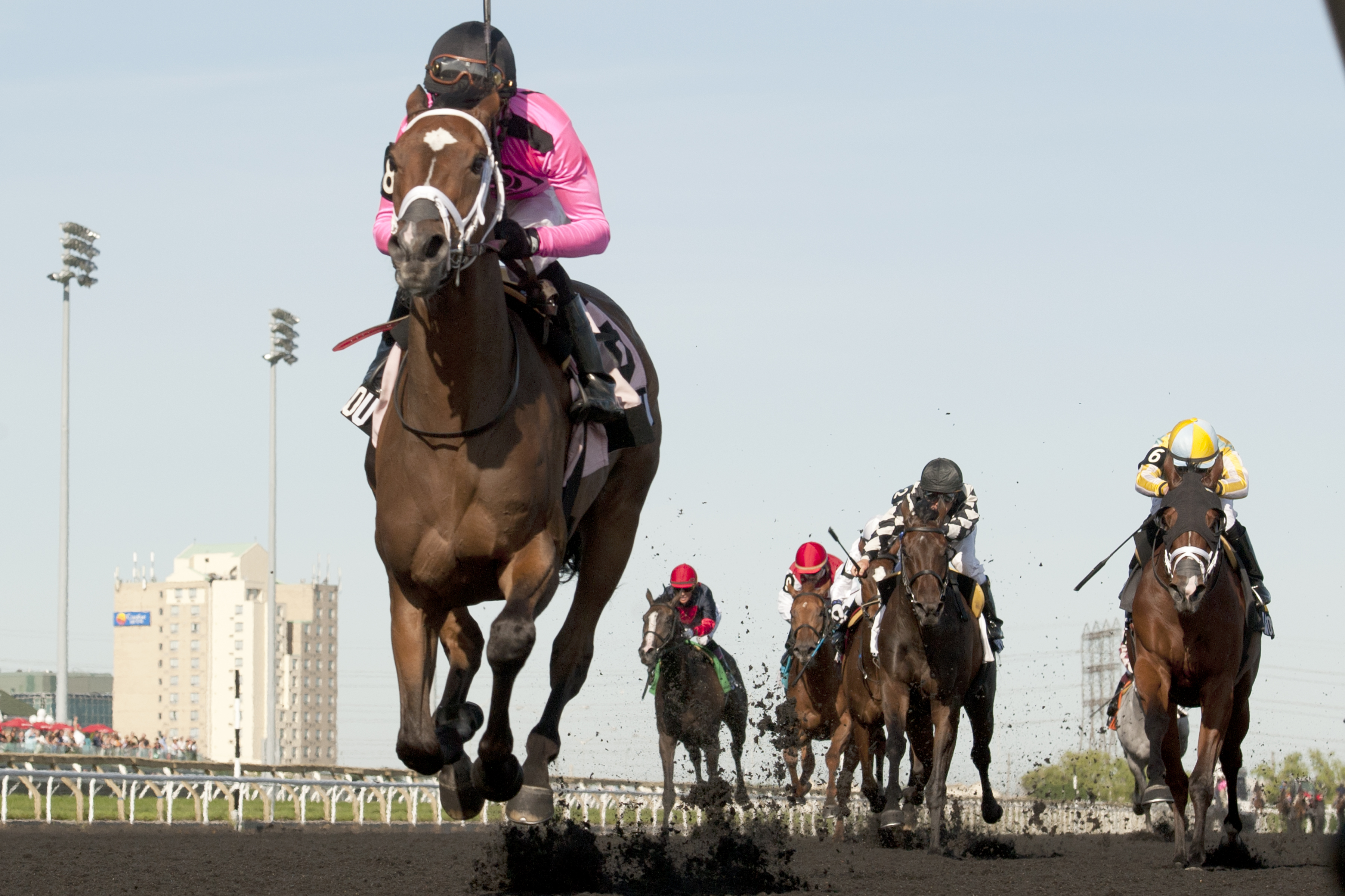 Lexie Lou wins 2014 Woodbine Oaks