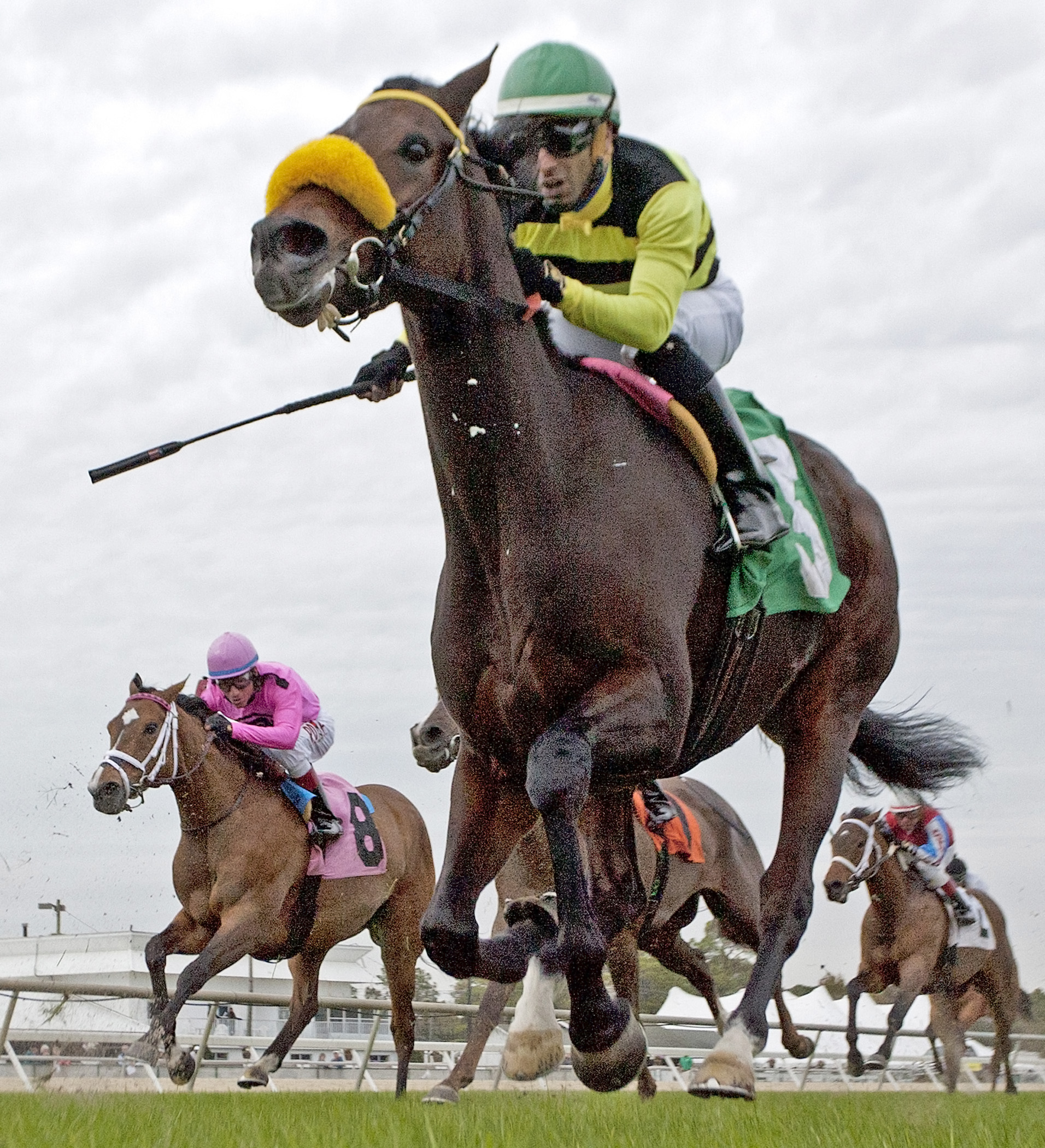 Lovely Loyree finishes second in a claiming race