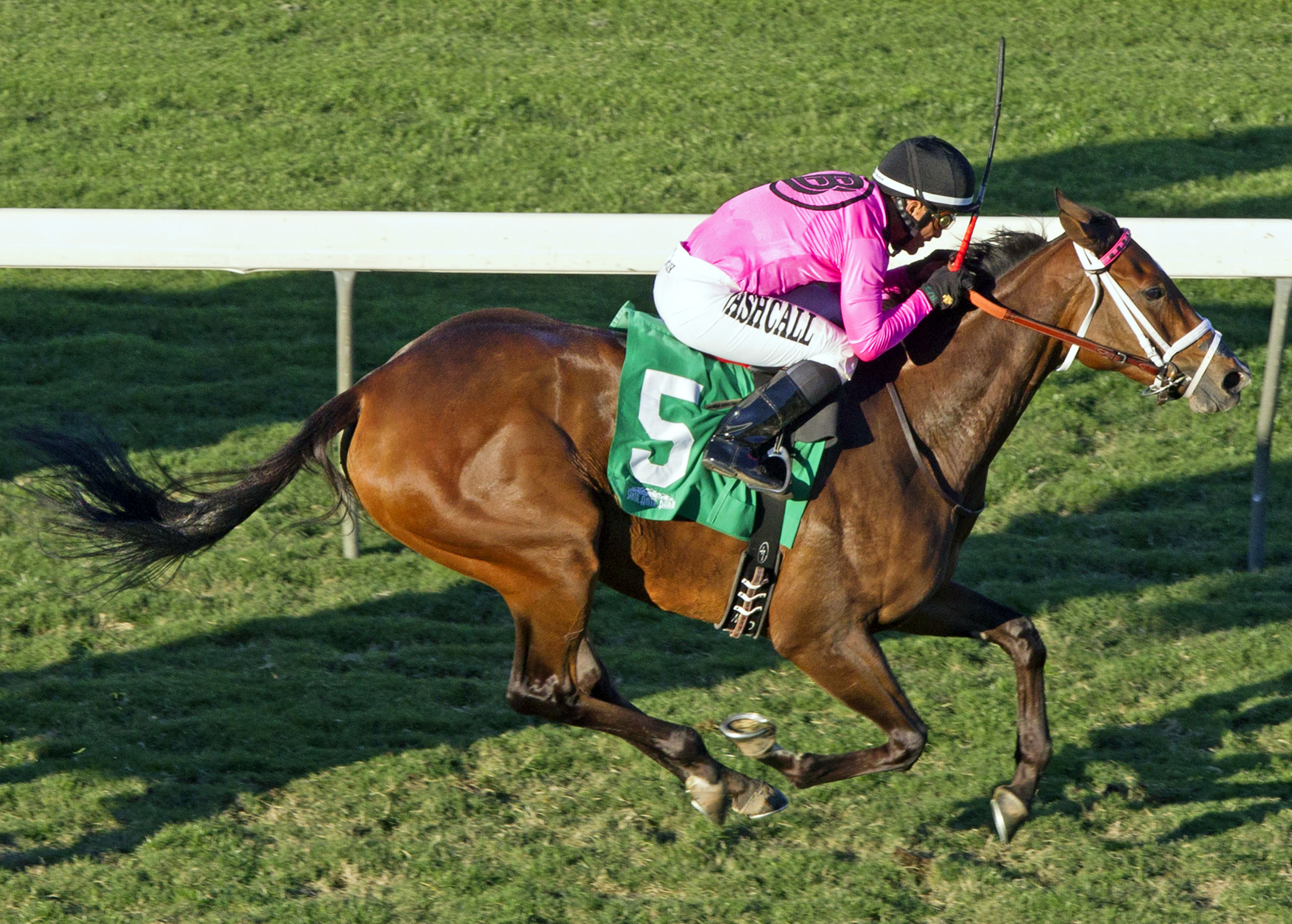 Lexie Lou wins the Autumn Miss