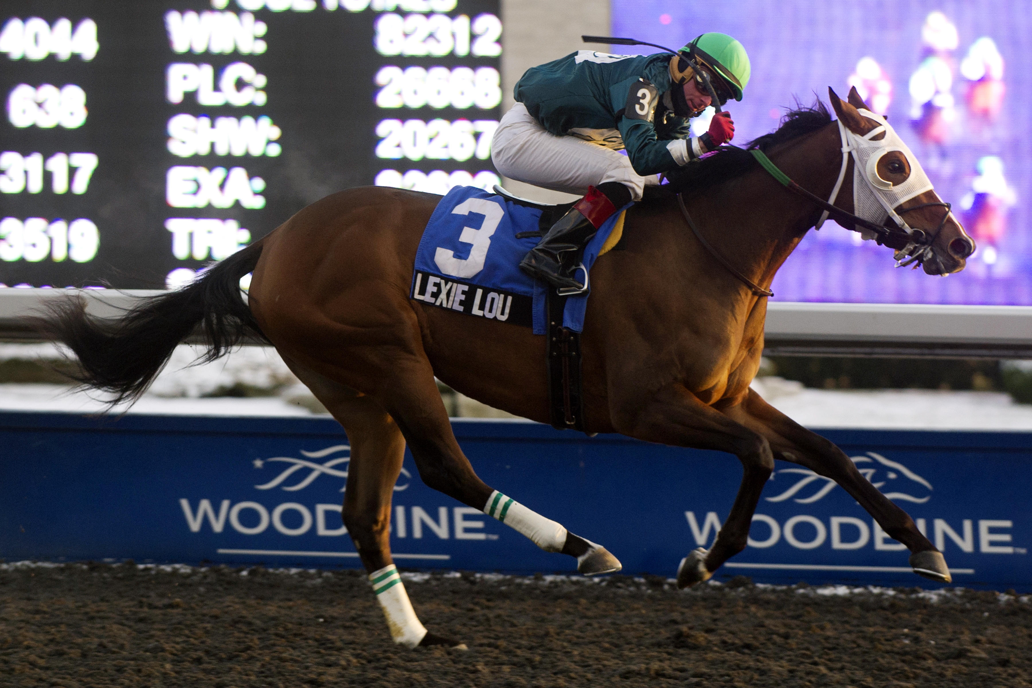 Lexie Lou wins the South Ocean Stakes