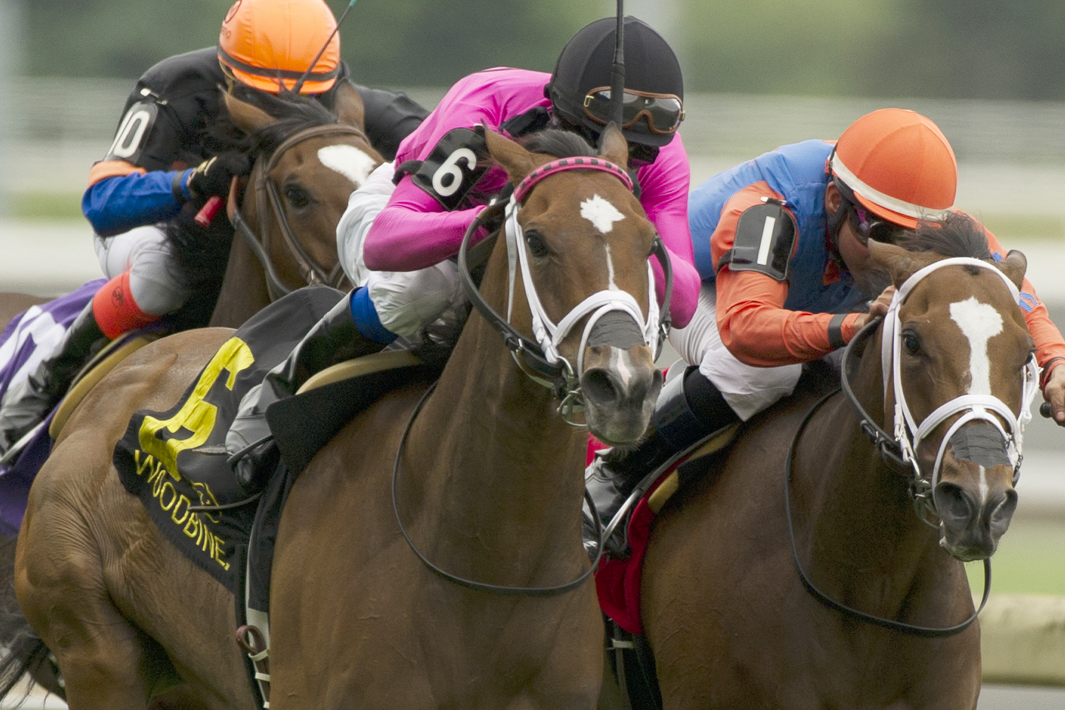 Mississippi Delta finishes second to Lexie Lou in the Nassau Stakes