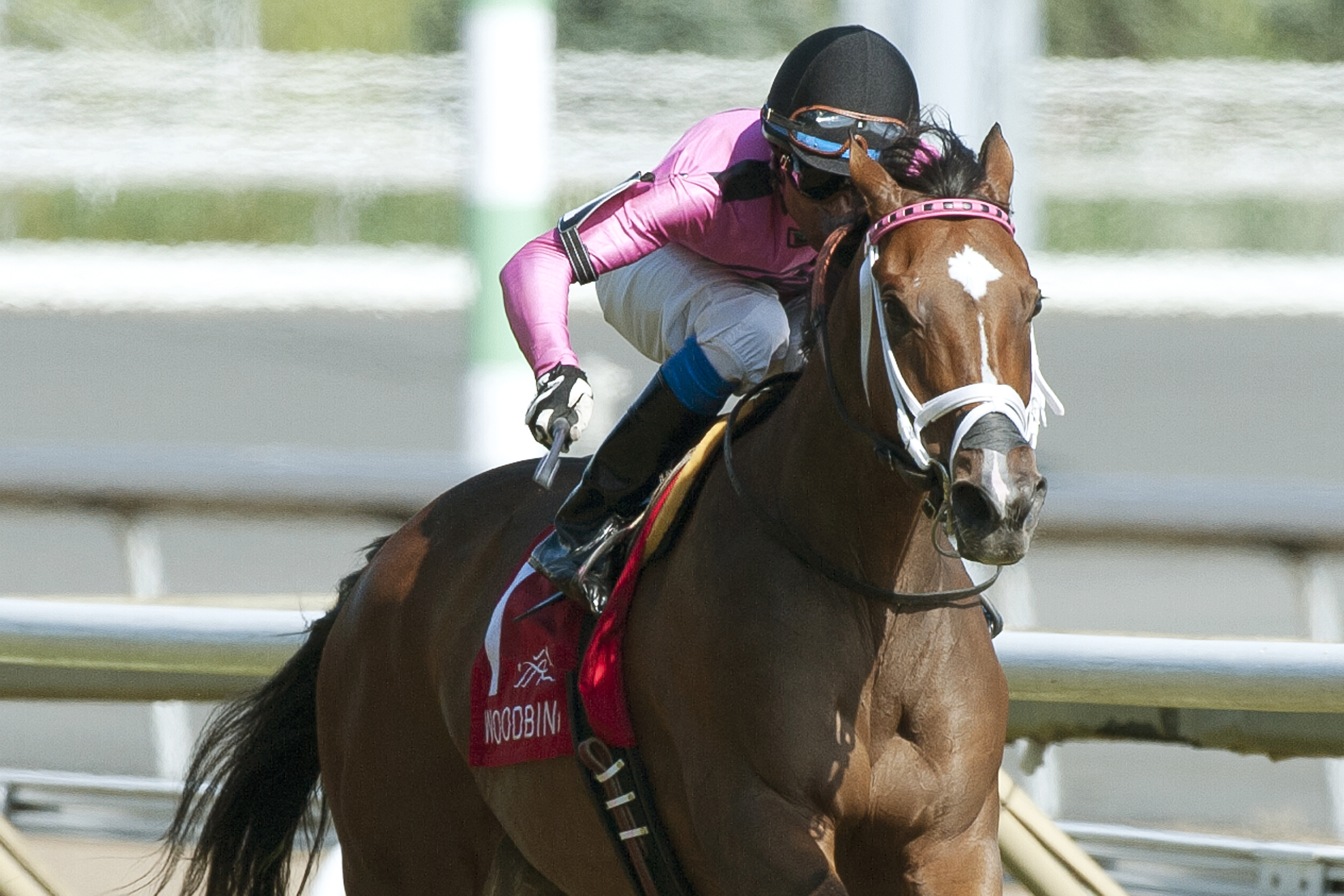 Lexie Lou wins the Victoriana