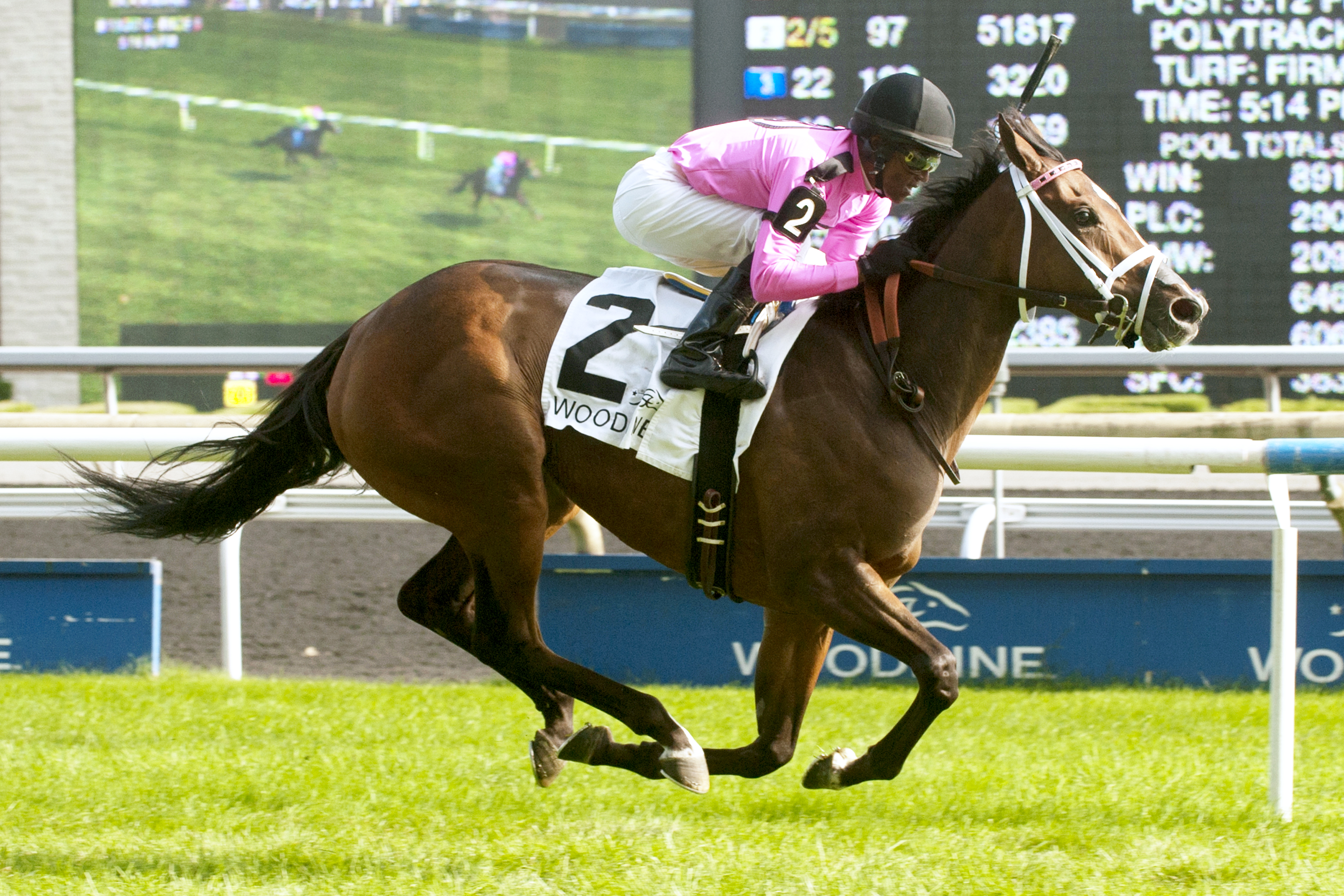 Lexie Lou wins the Wonder Where Stakes