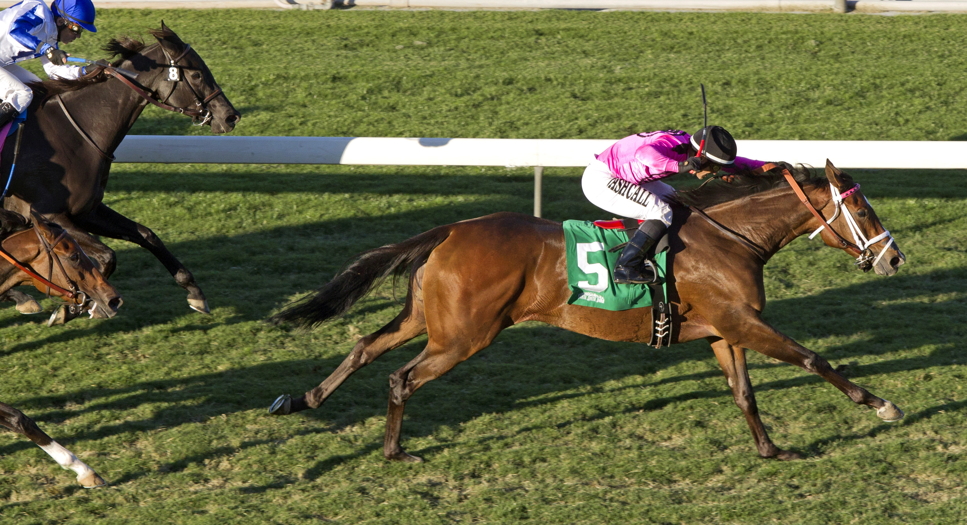 Lexie Lou wins the Autumn Miss