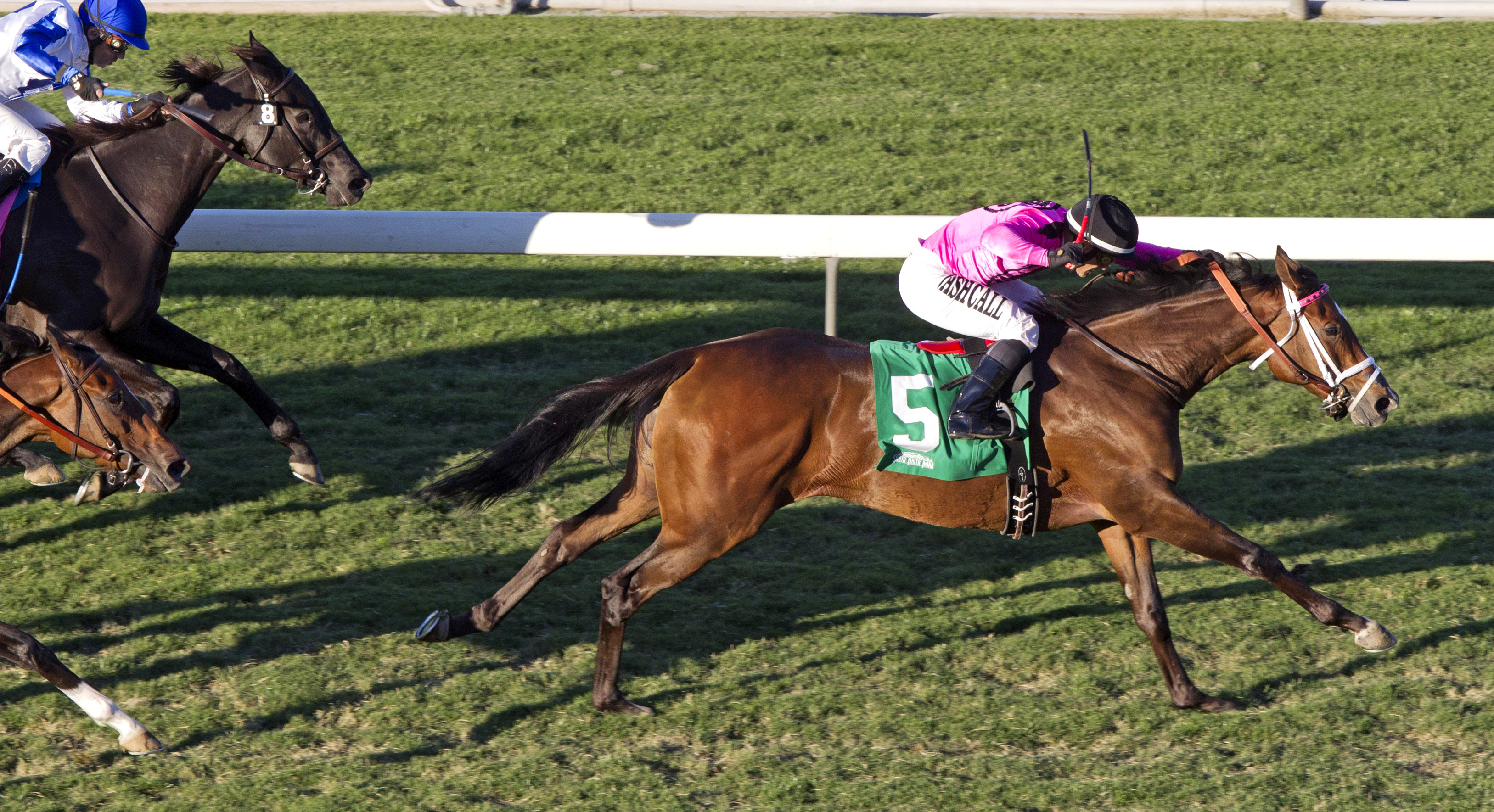 Lexie Lou wins the Autumn Miss Stakes