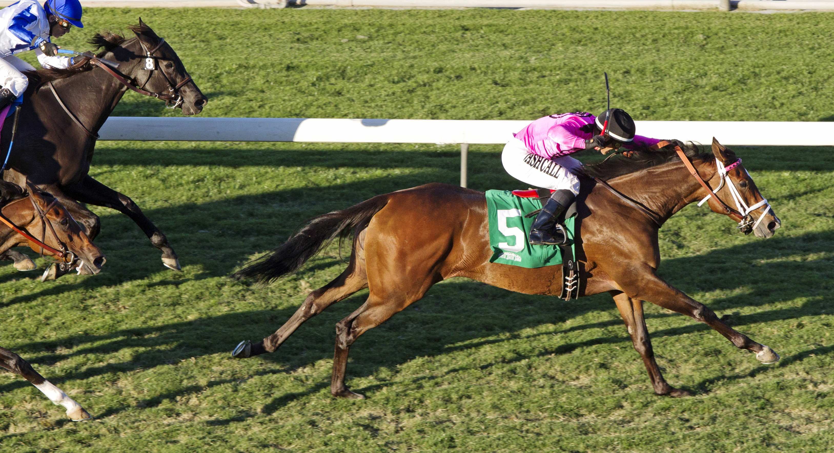 Lexie Lou wins the Autumn Miss