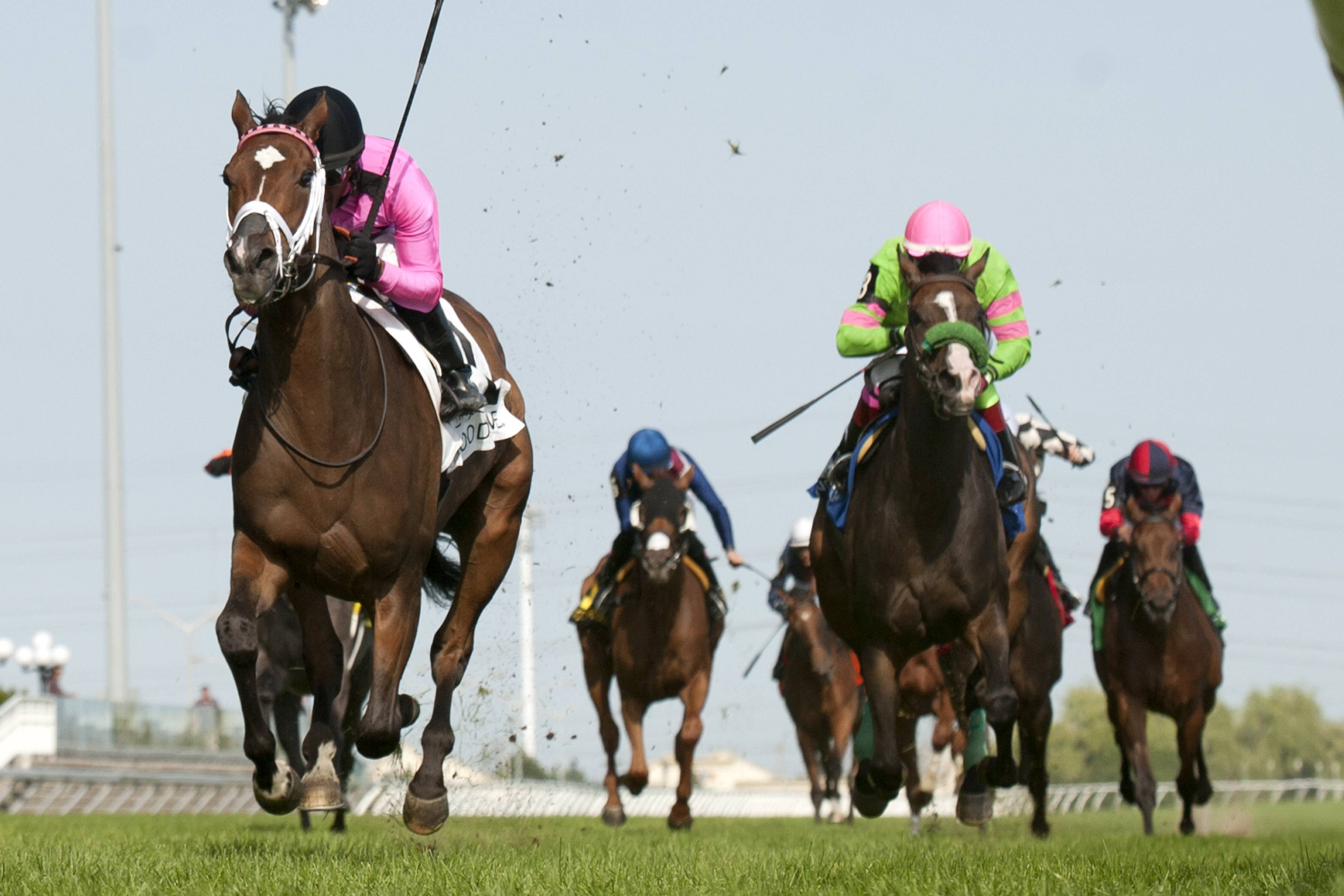 Lexie Lou wins the Wonder Where Stakes
