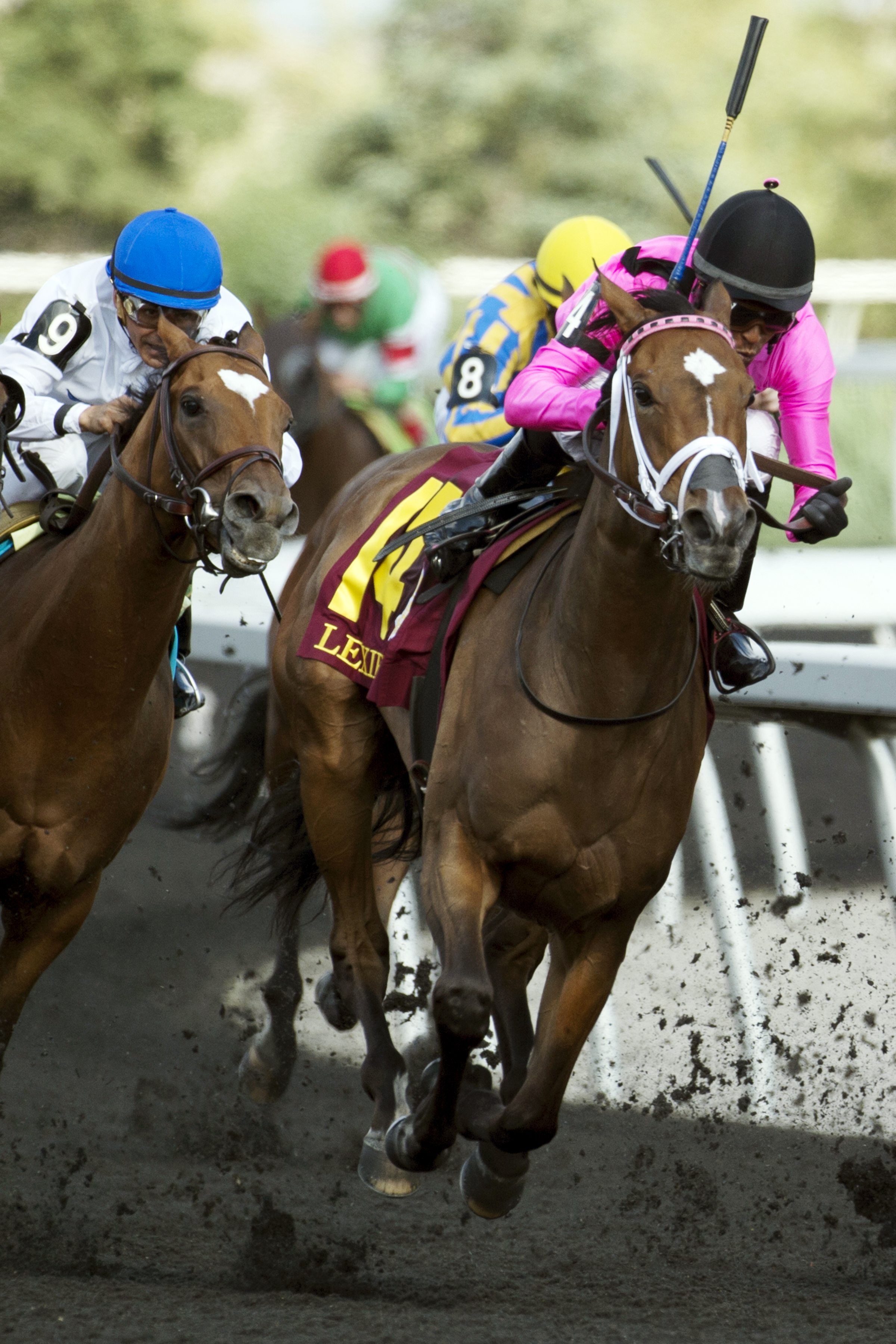 Lexie Lou wins the Queen's Plate Stakes