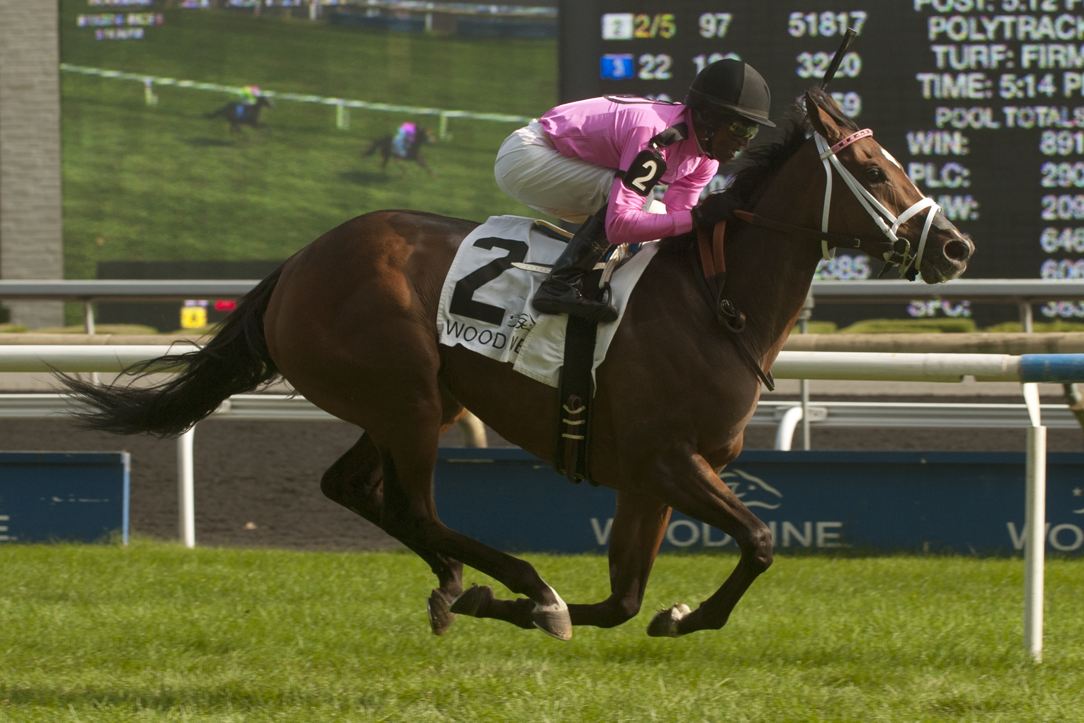 Lexie Lou wins 2014 Wonder Where