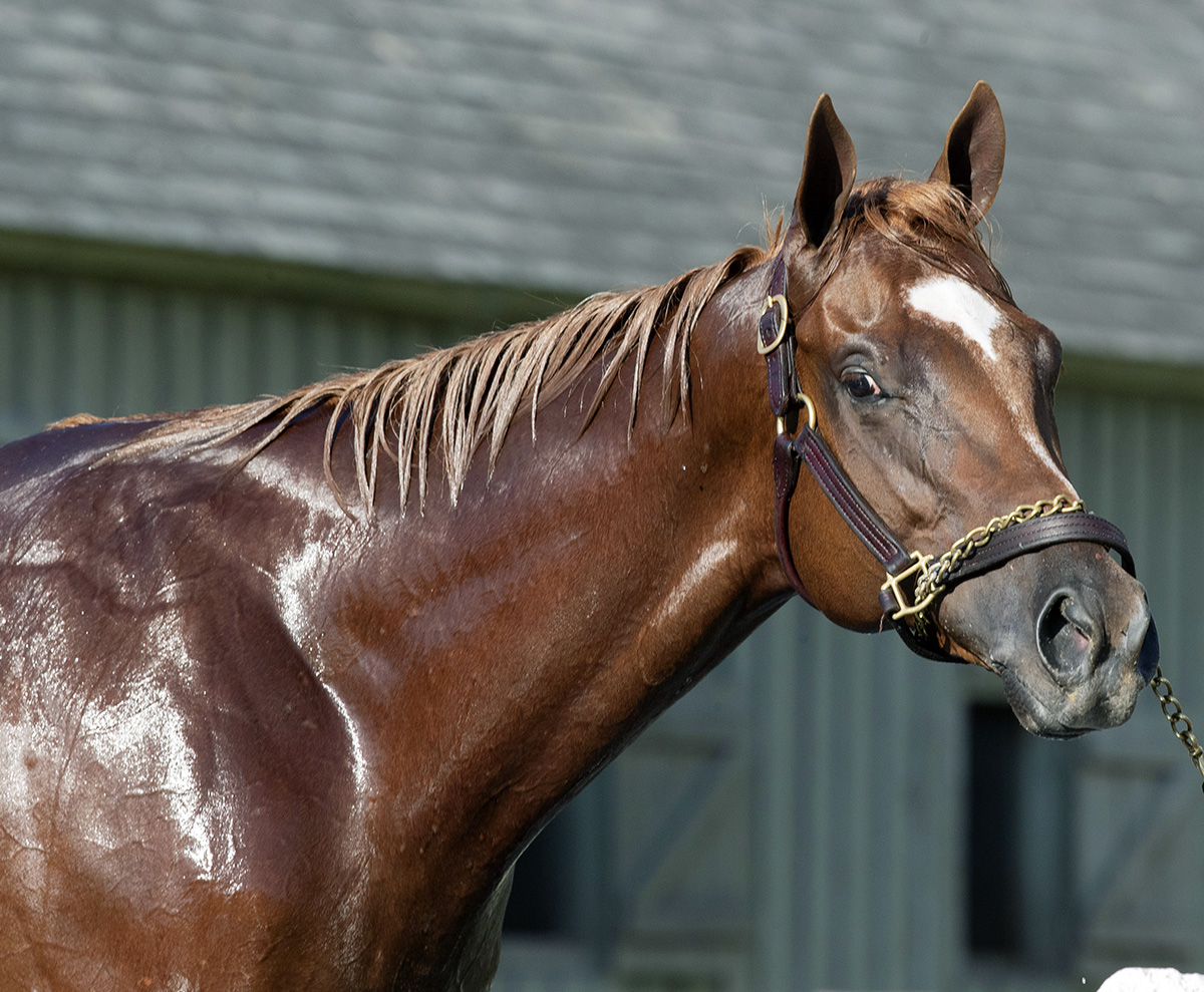 Lexintonian at Saratoga on July 18
