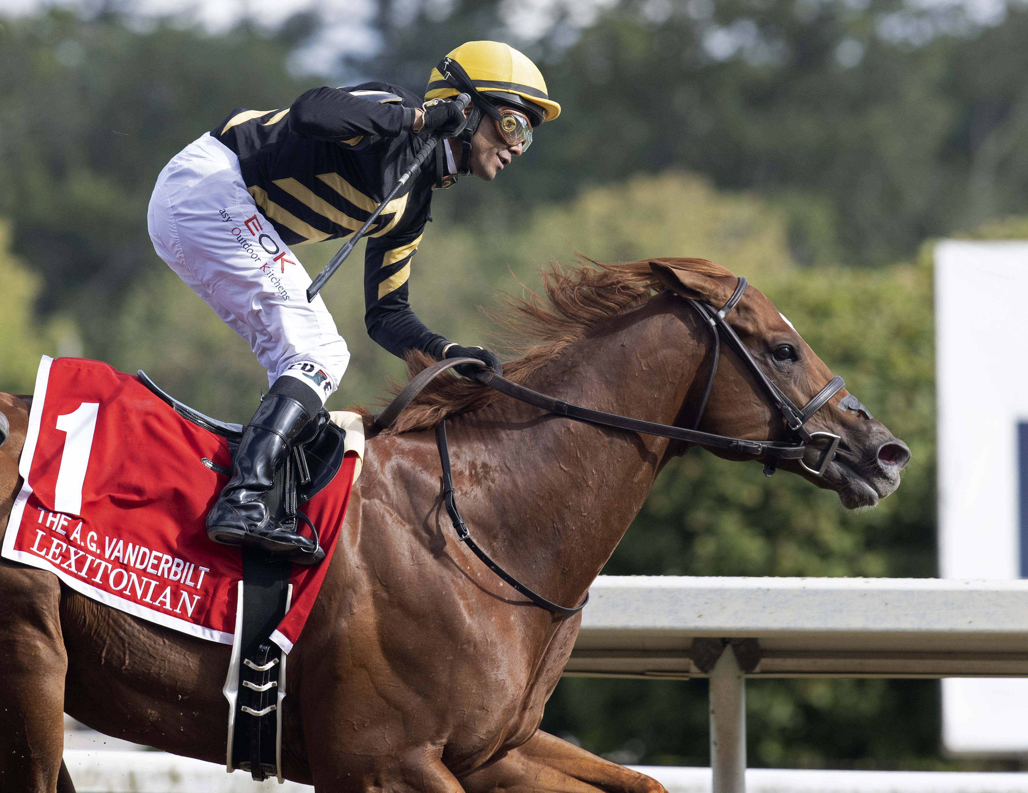 Lexitonian wins Vanderbilt 7-31-2021