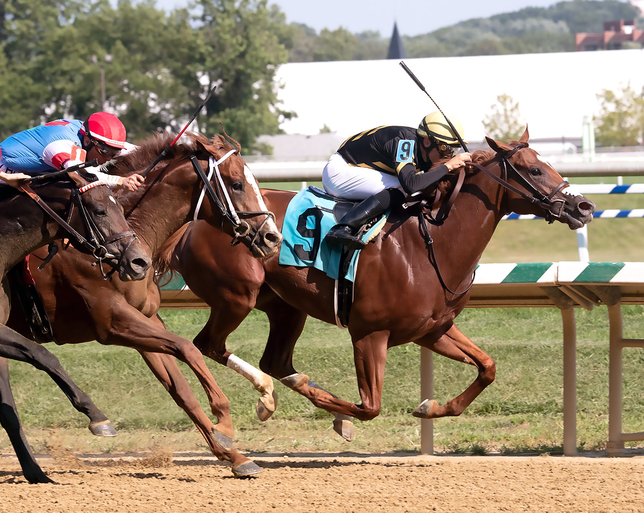Lexitonian wins the 2019 Concern Stakes
