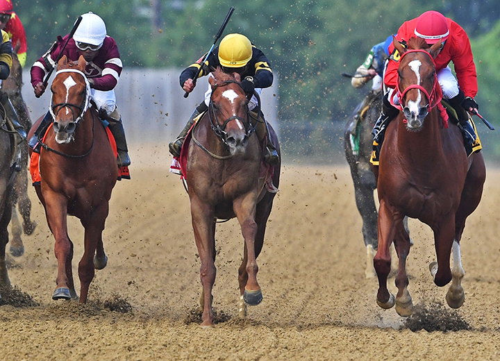 Lexitonian wins the 2019 Chick Lang Stakes