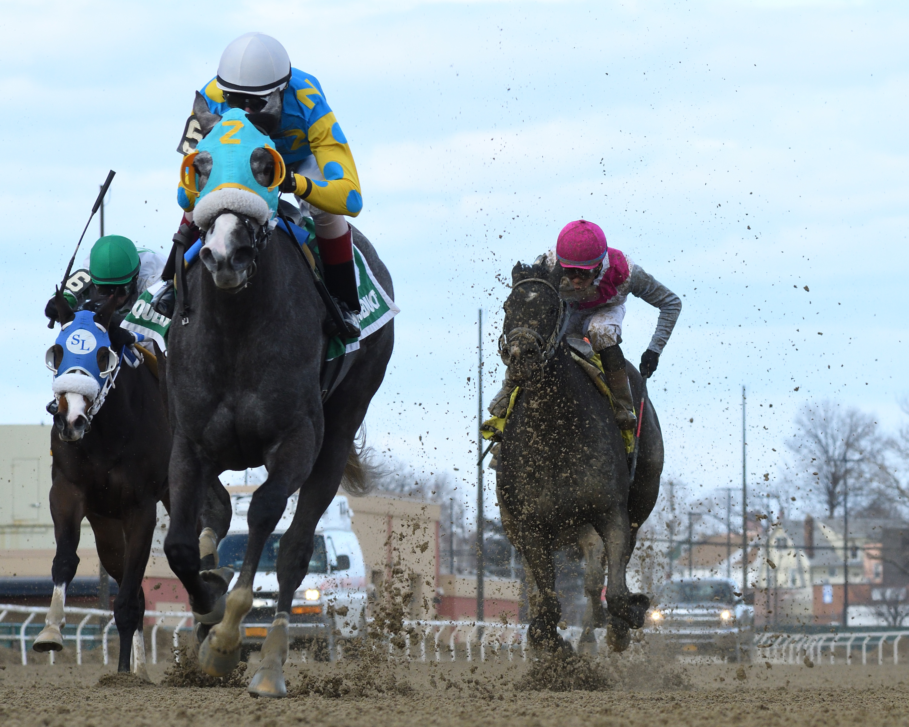 Lezandary wins 2018 Cicada