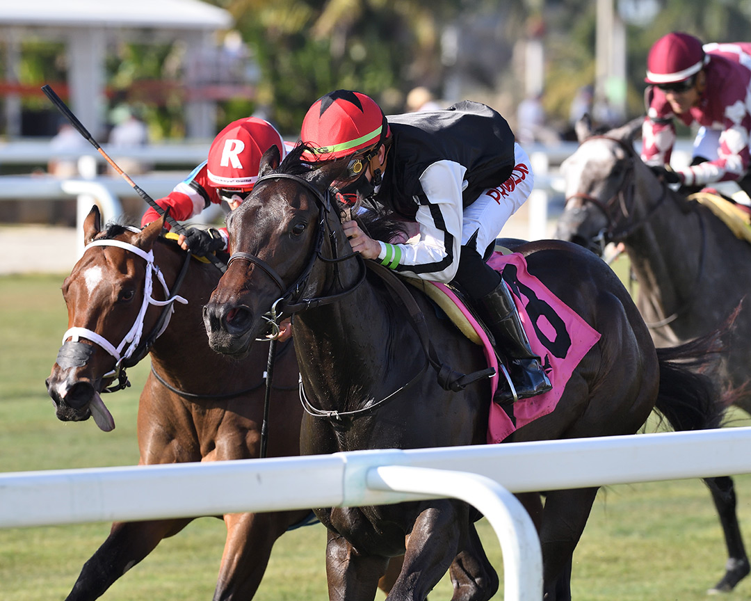 Lia Marina (right) wins the 2021 Wait a While Stakes at Gulfstream Park