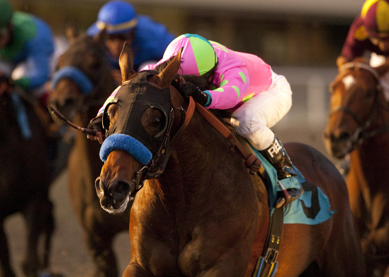 Liaison/CashCall Futurity