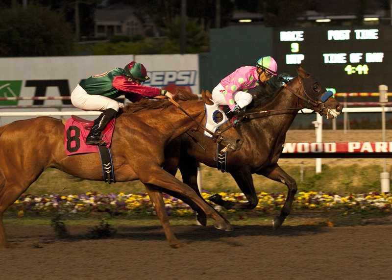 CashCall Futurity 1-2