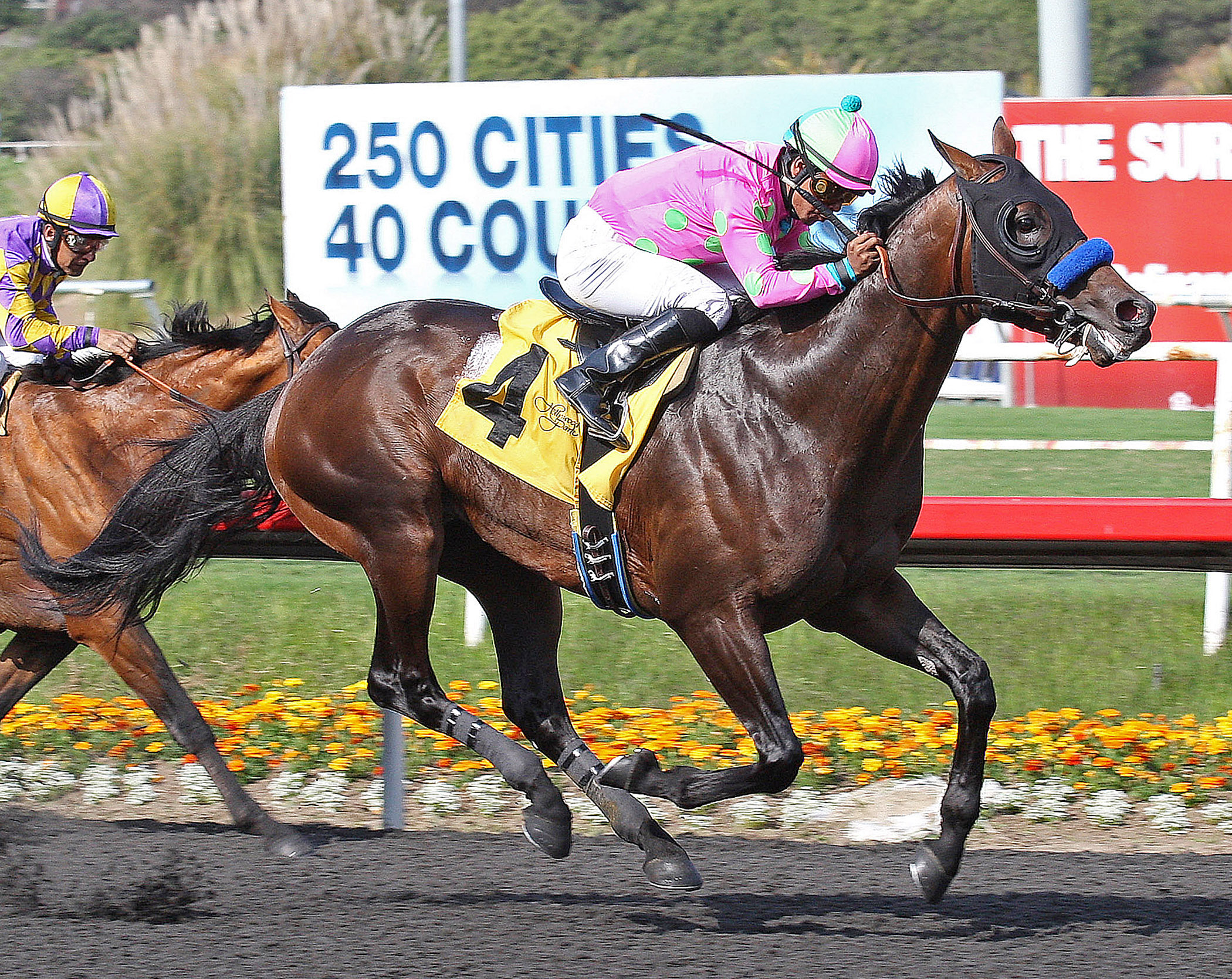 Liaison, Mervyn LeRoy Handicap