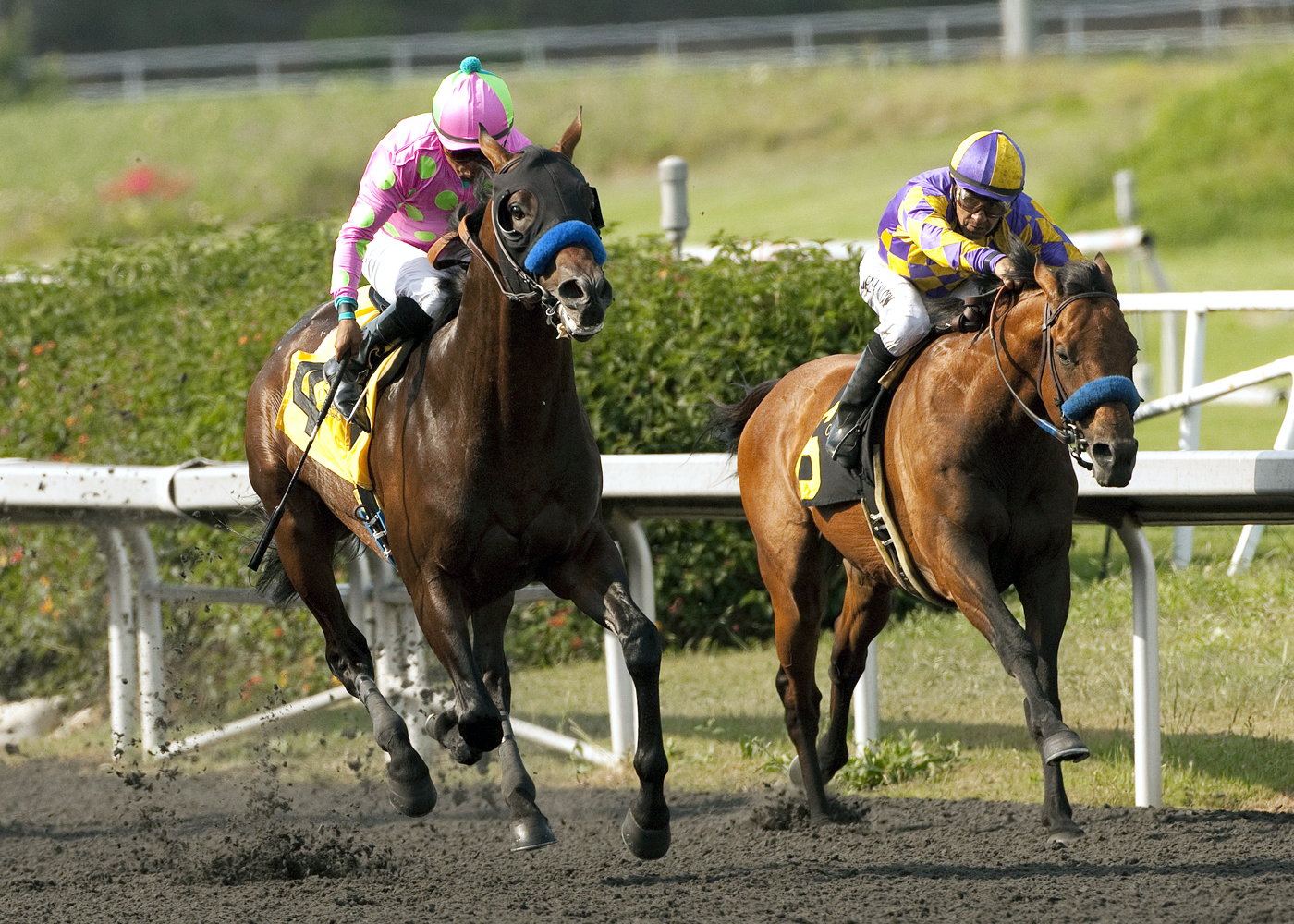 Kettle Corn, Liaison, Mervyn LeRoy Handicap