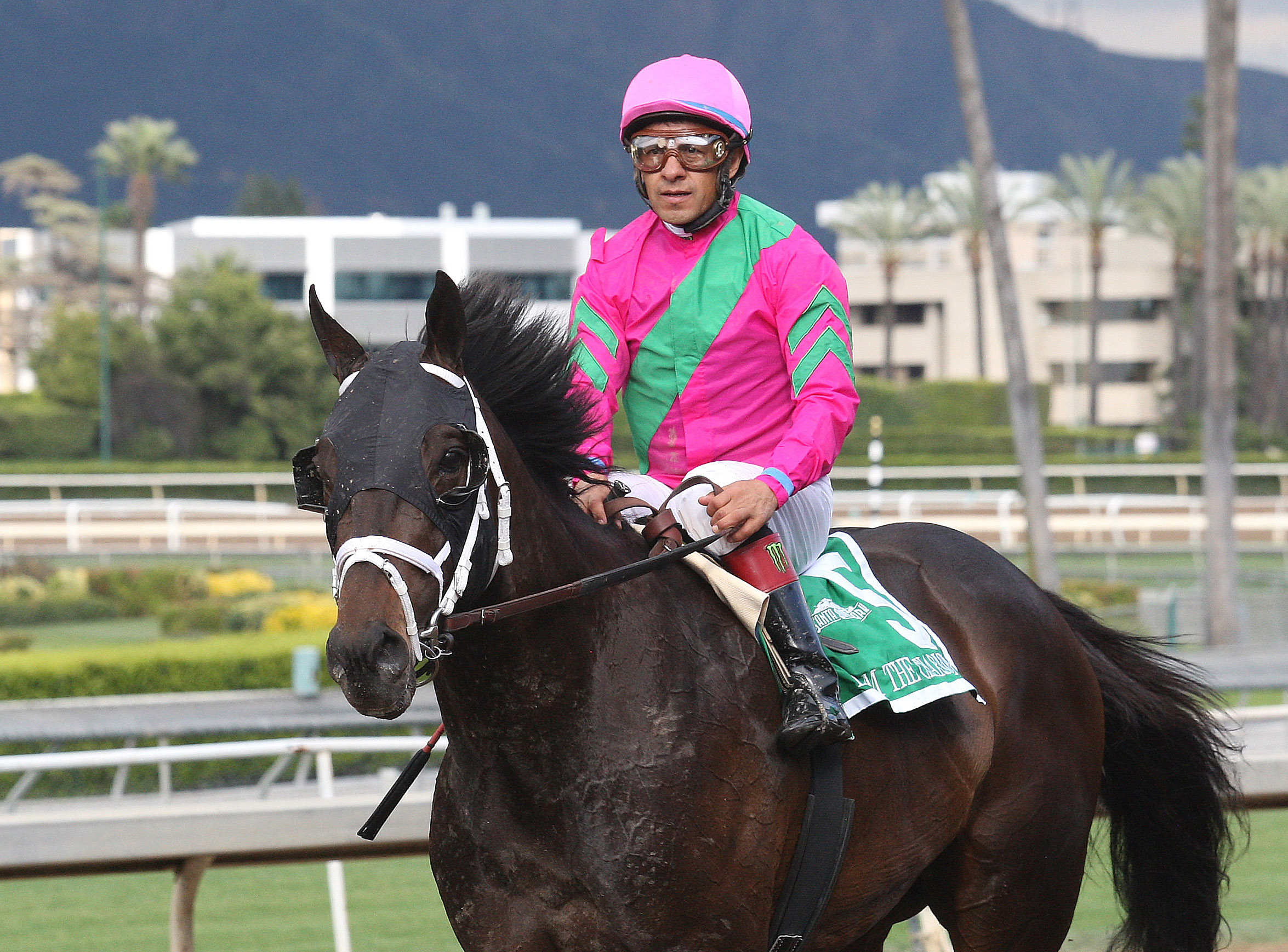 Liam the Charmer at Santa Anita on March 25