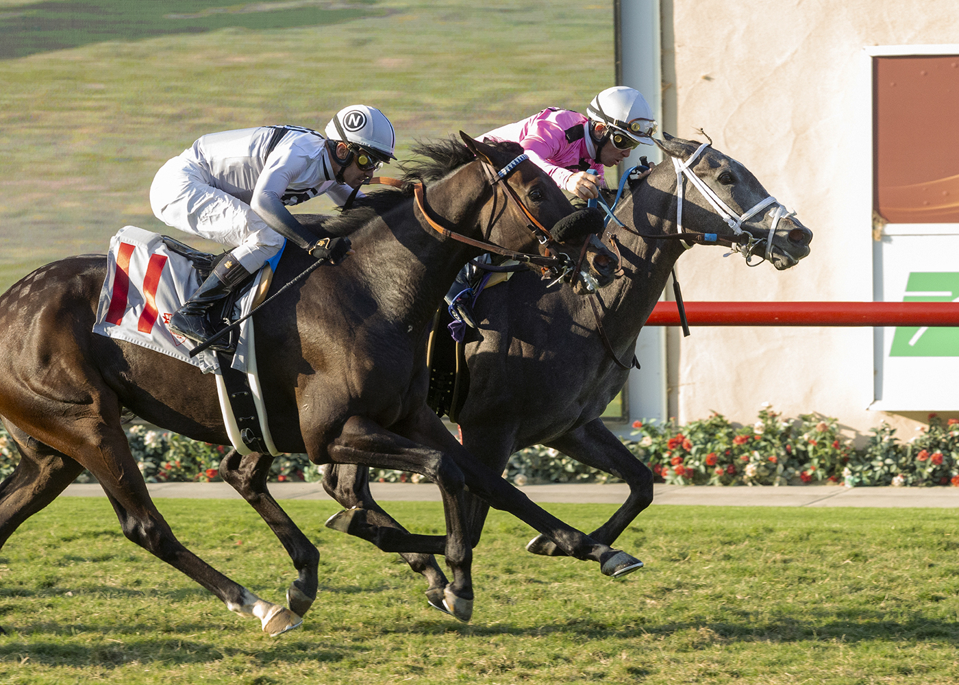 Liam's Dove - DMR Juvenile Fillies Turf 2021