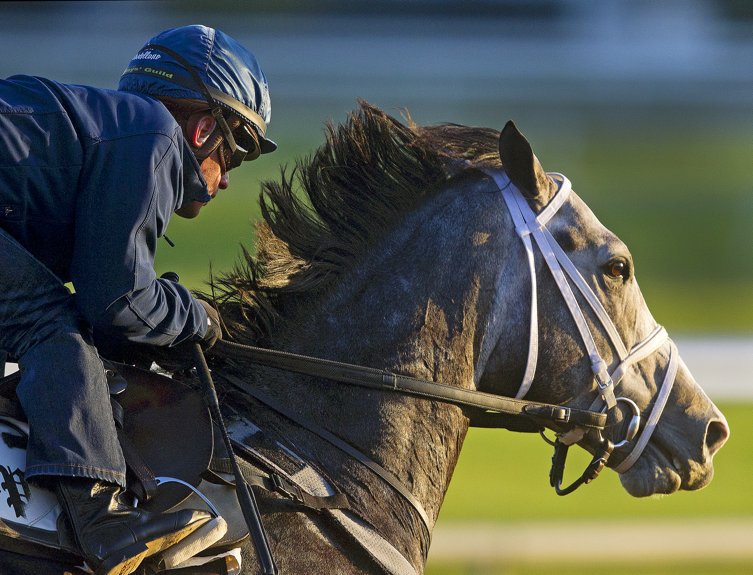Liam's Map trains at Saratoga on Oct. 22