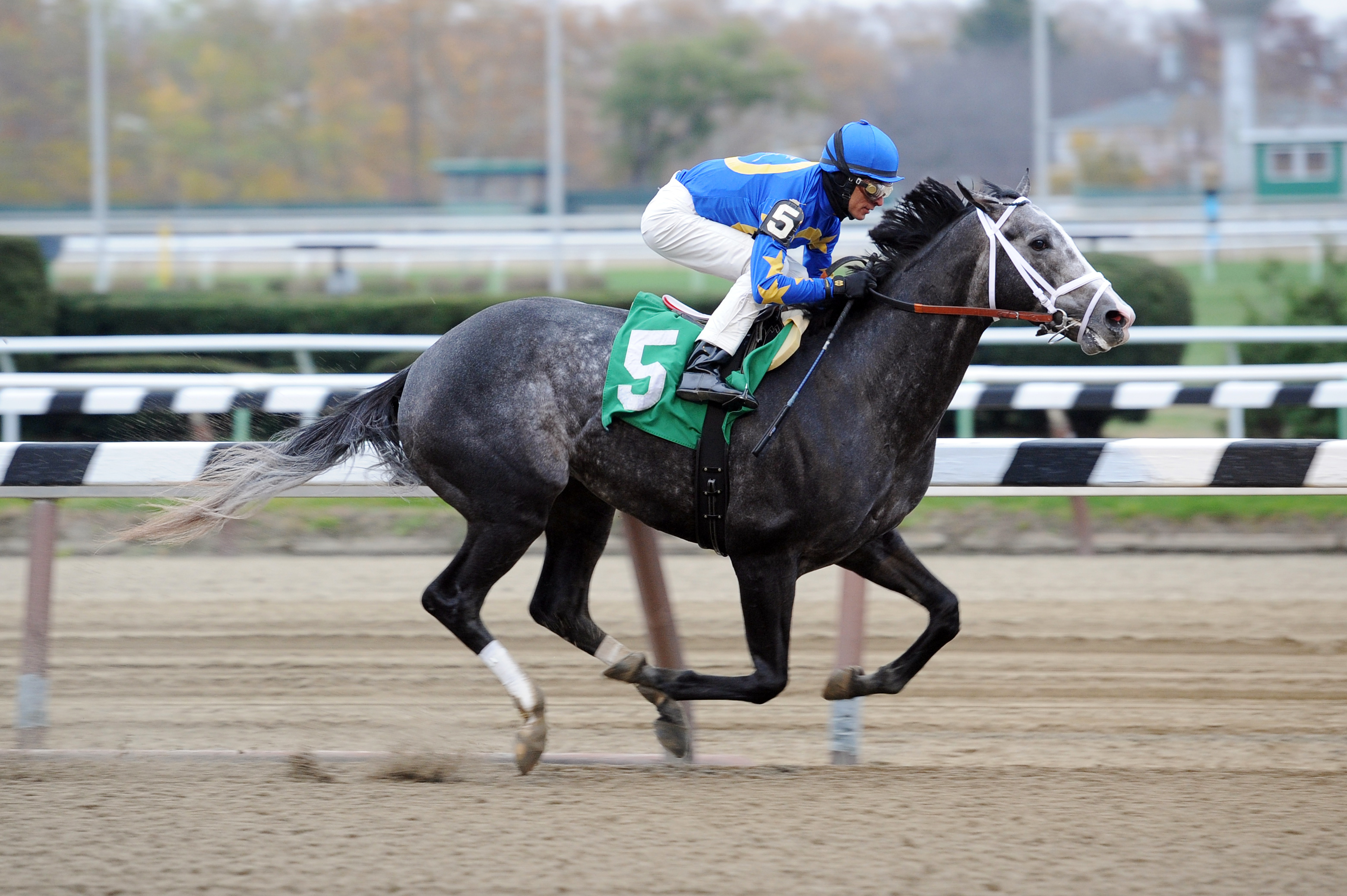 Liam's Map wins an allowance race