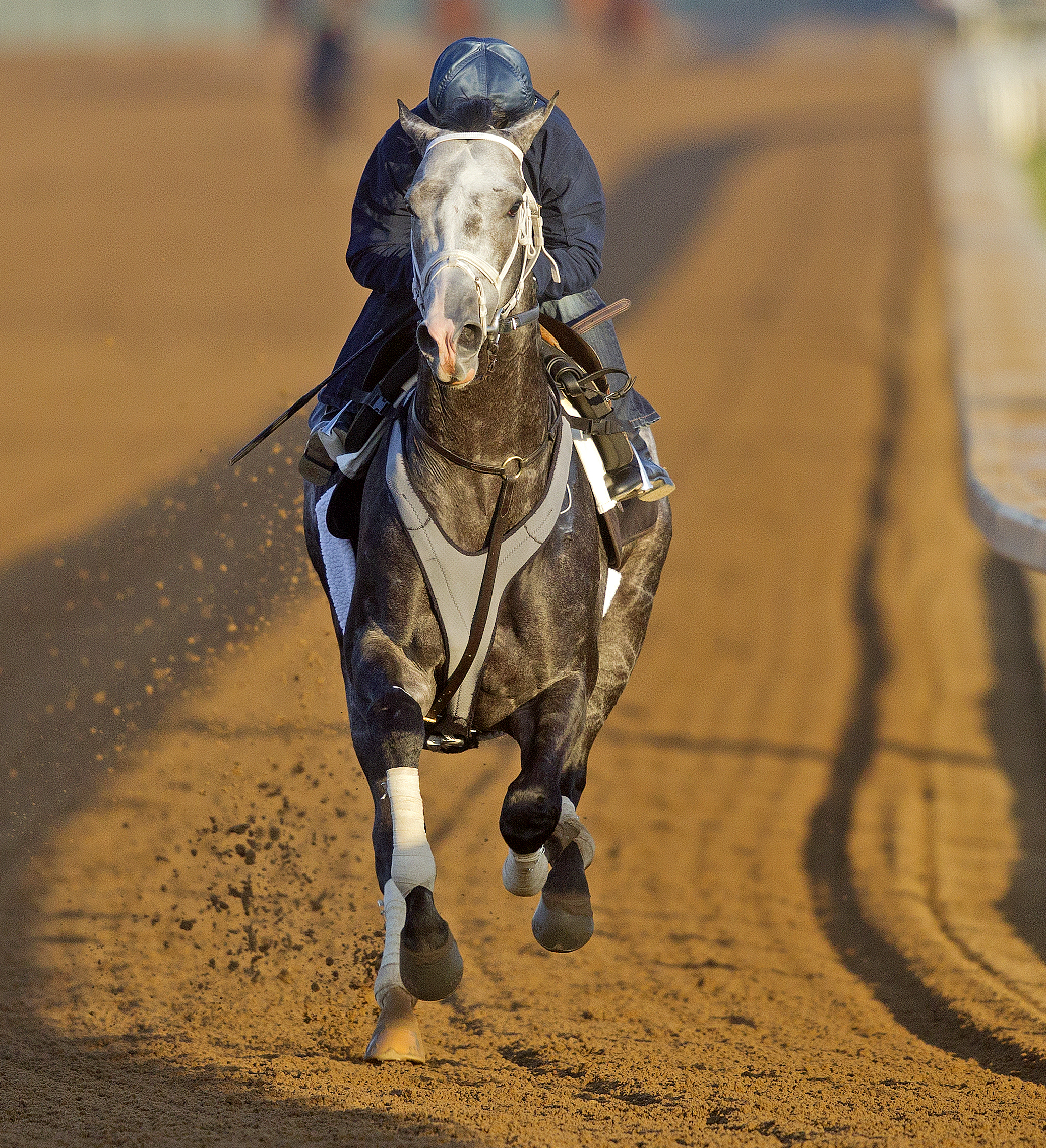 Liam's Map trains at Saratoga on Oct. 22