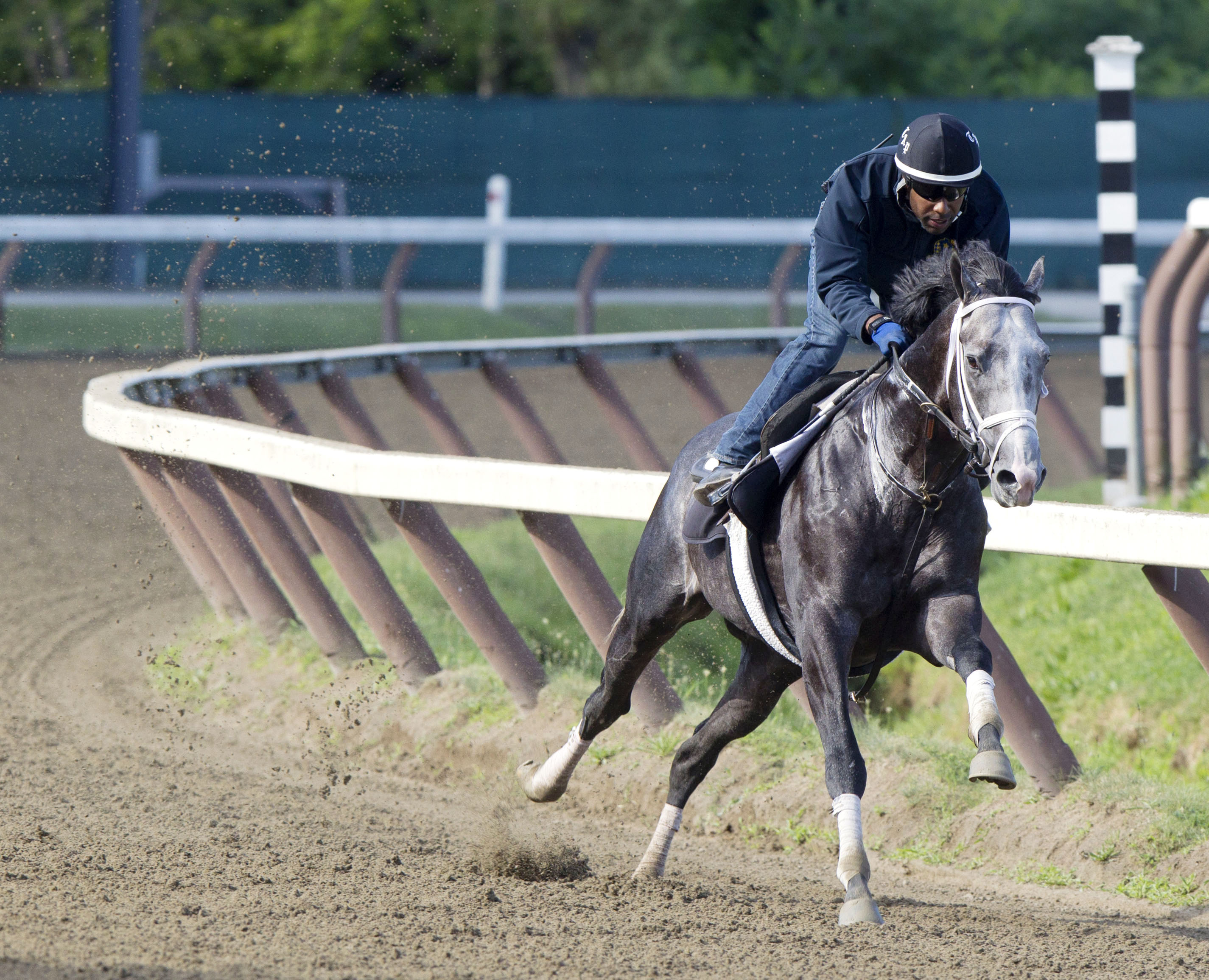 Liam's Map trains at Saratoga on Aug. 1