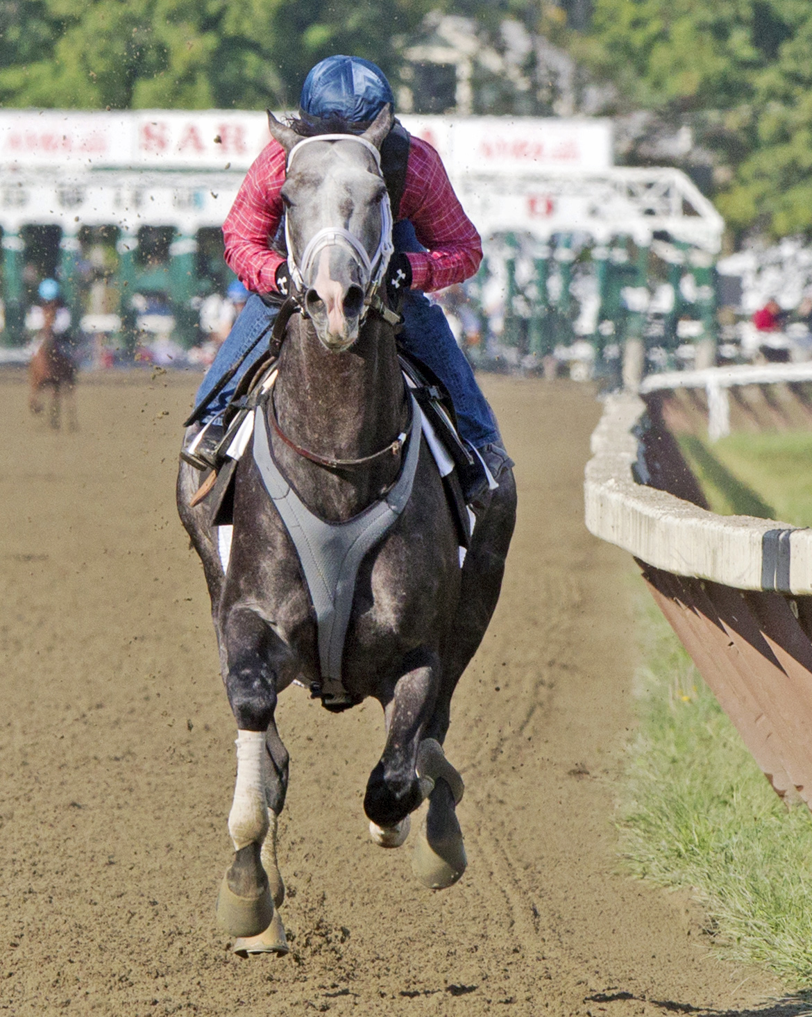Liam's Map trains at Saratoga on Aug. 22